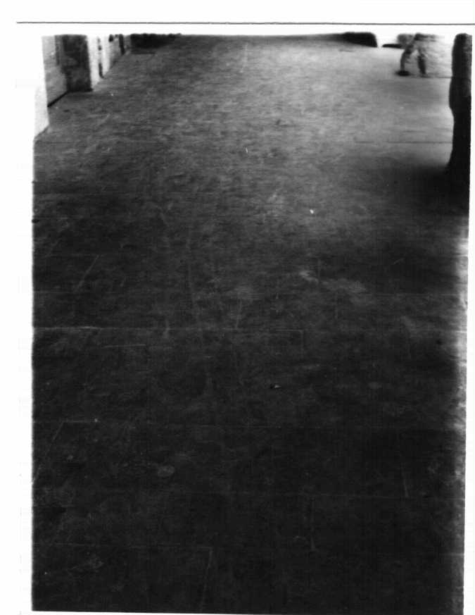 Via Tornatore
