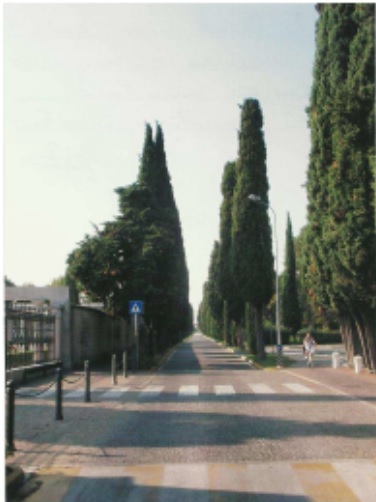 Viale della Rimembranza di Montichiari