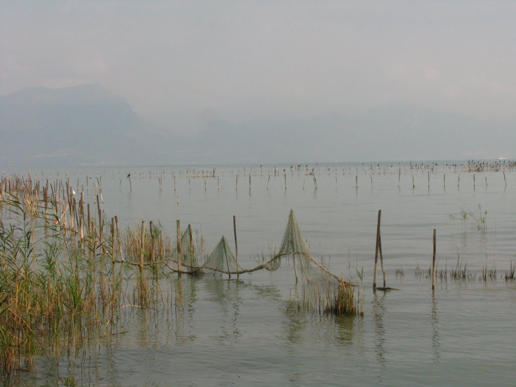 La Maraschina