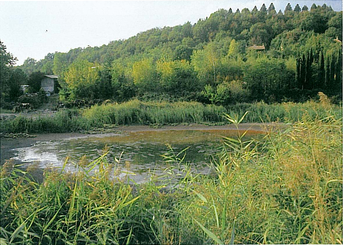 Torbiere di Soiano
