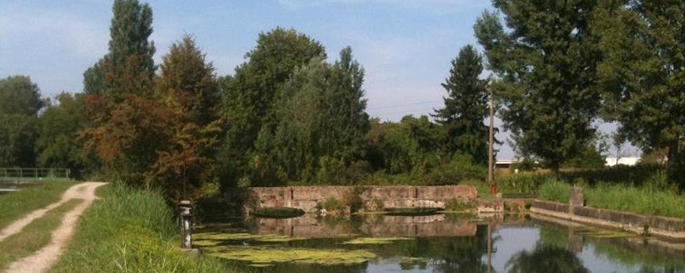 Ponte sulla Muzza