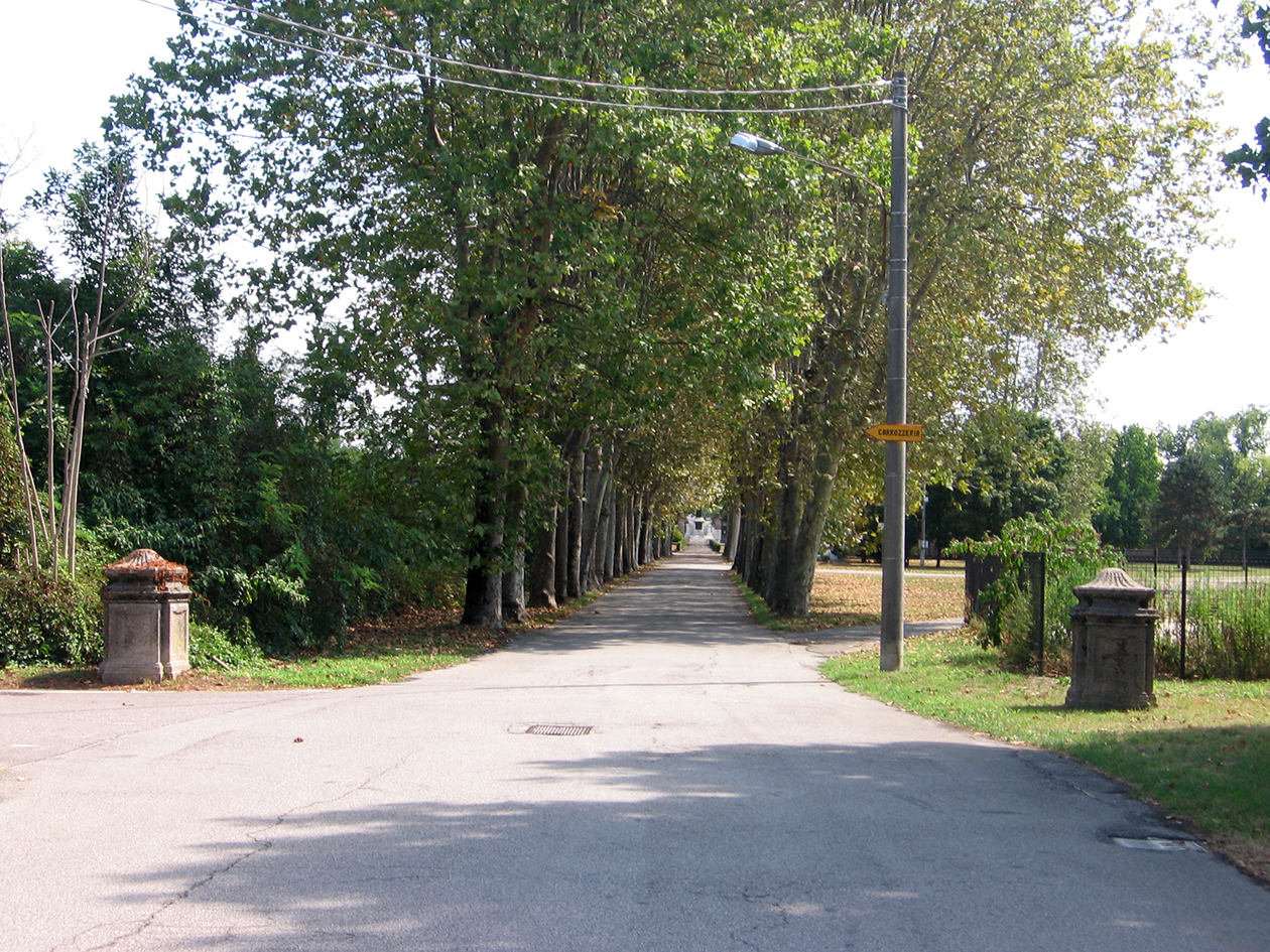 Viale della Rimembranza di Castano Primo