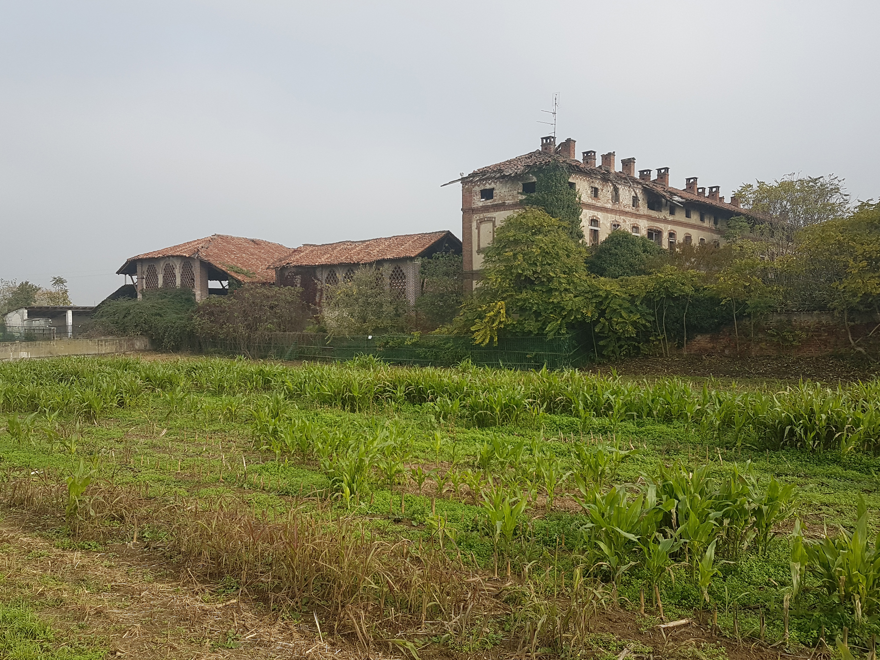 Cascina Triginto