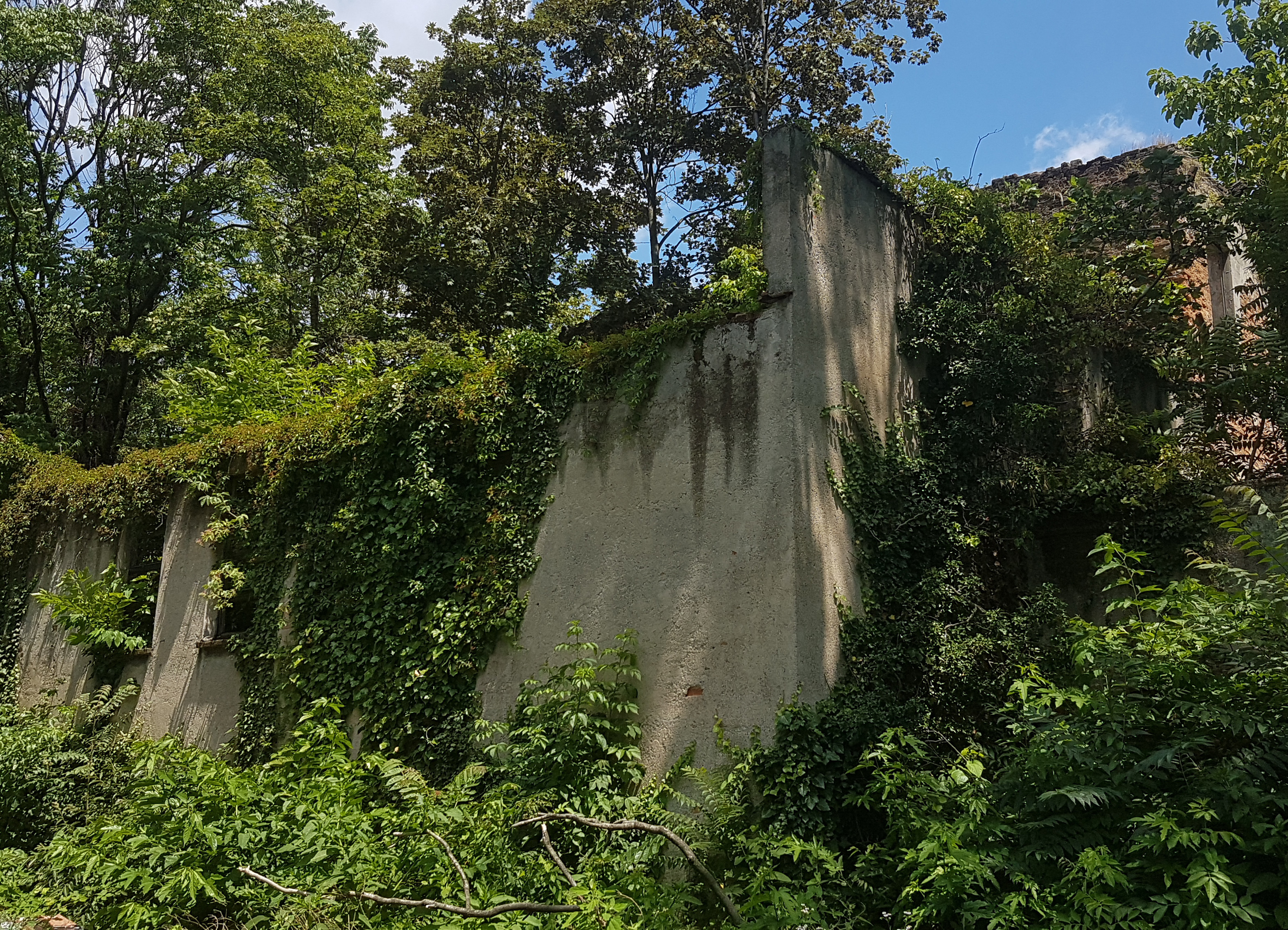 Villa Caimi Finoli