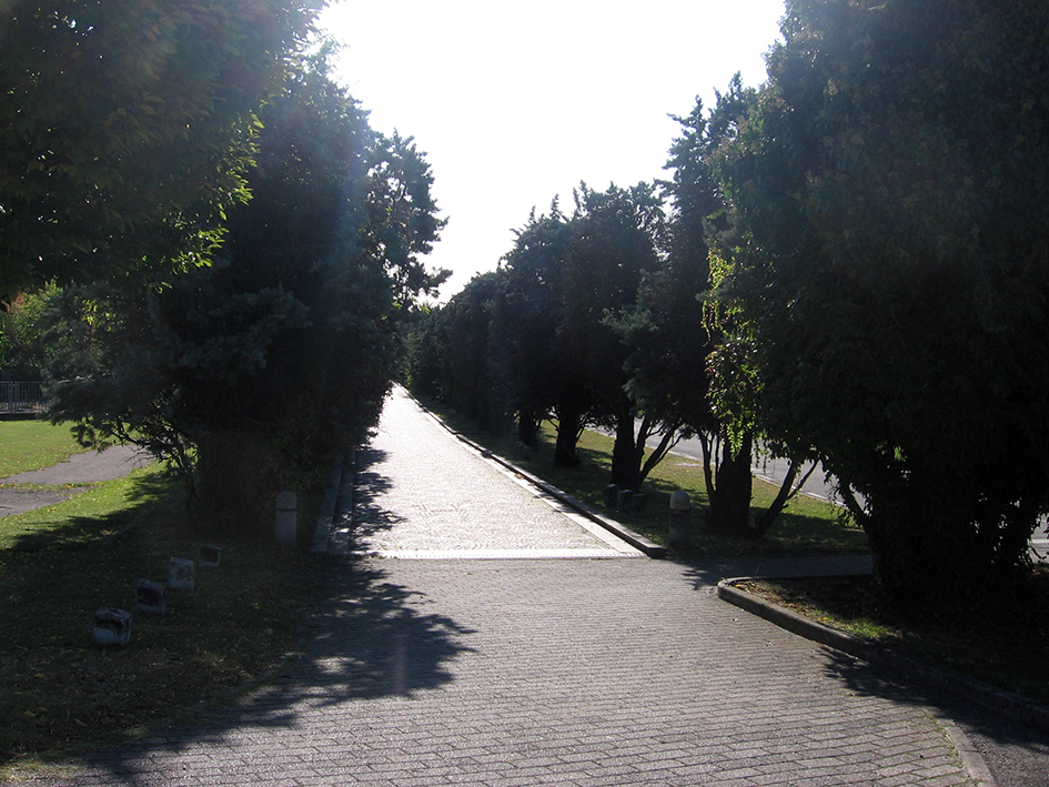 Viale della Rimembranza di Lesmo