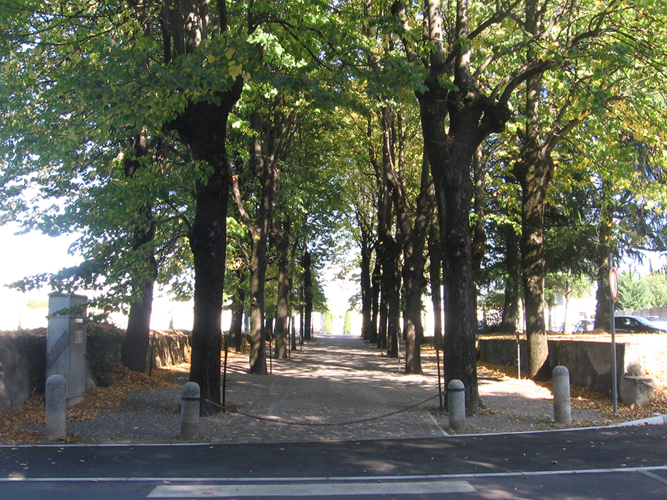 Viale della Rimembranza di Sovico