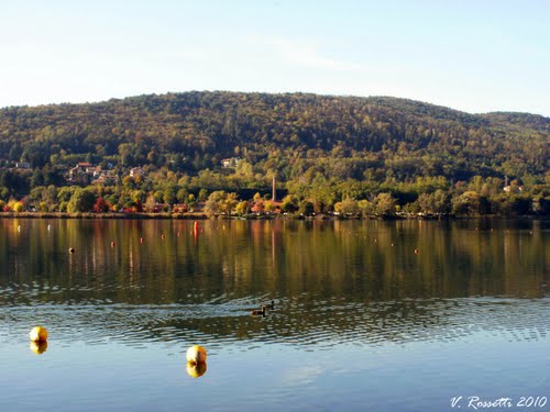 Le Pioppette, Lago di Comabbio