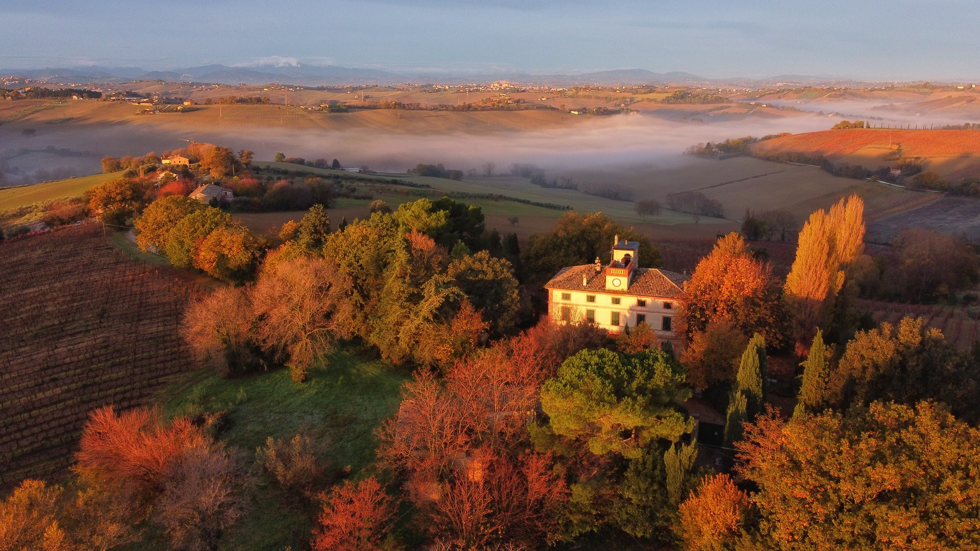azienda agricola, Tenuta Marotti Campi