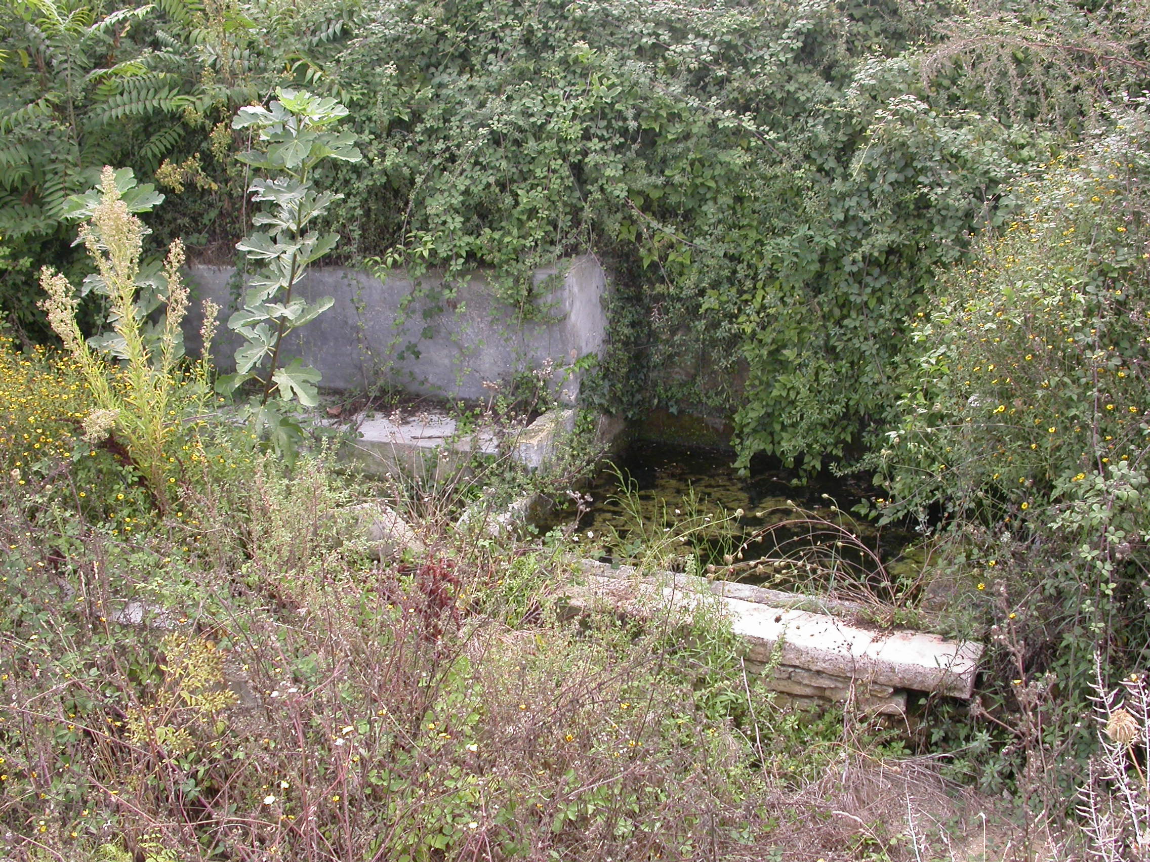 Fonte Pezzana