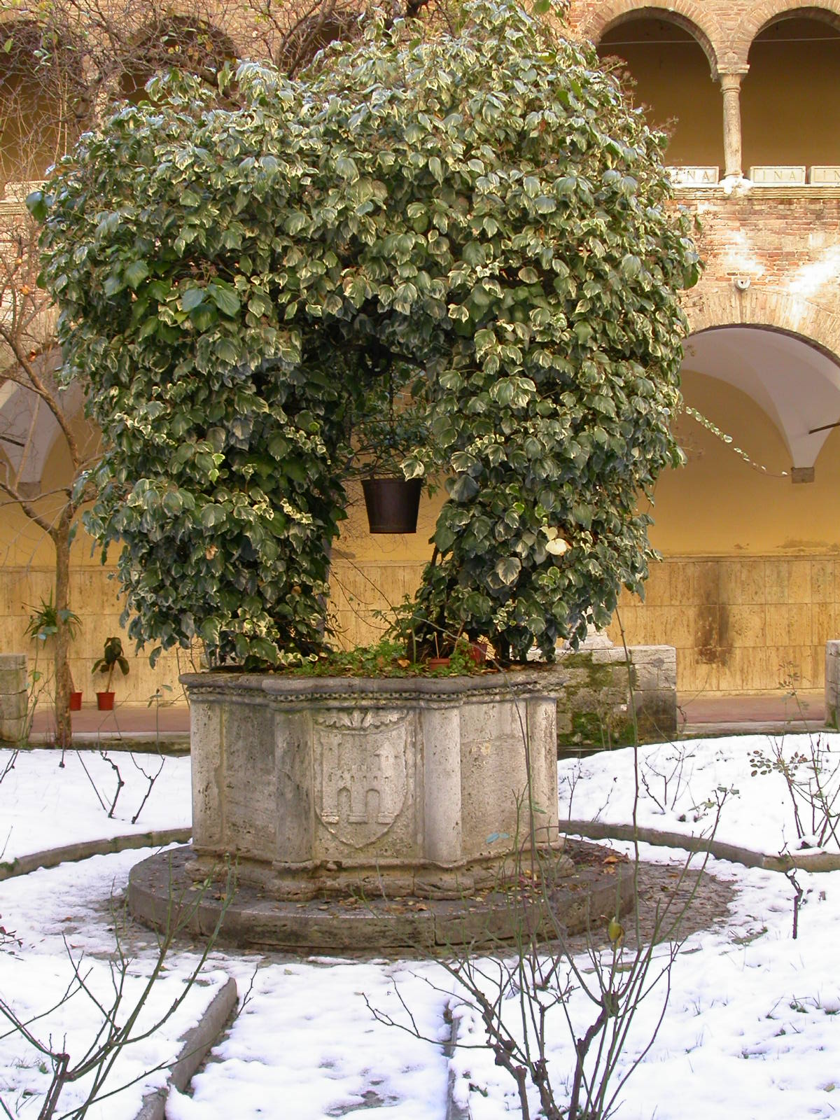Pozzo del Chiostro minore di S. Francesco