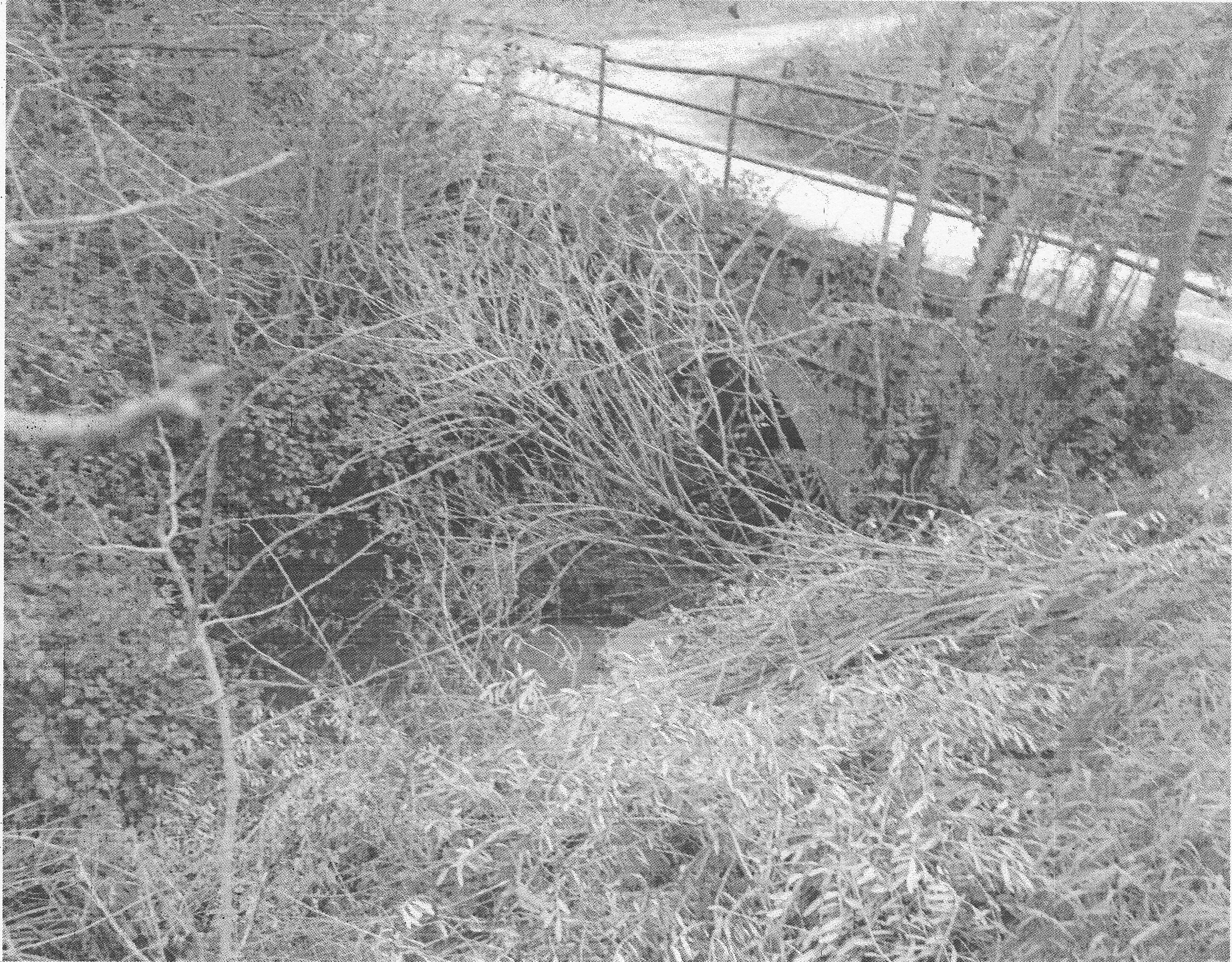 infrastruttura viaria, ponte