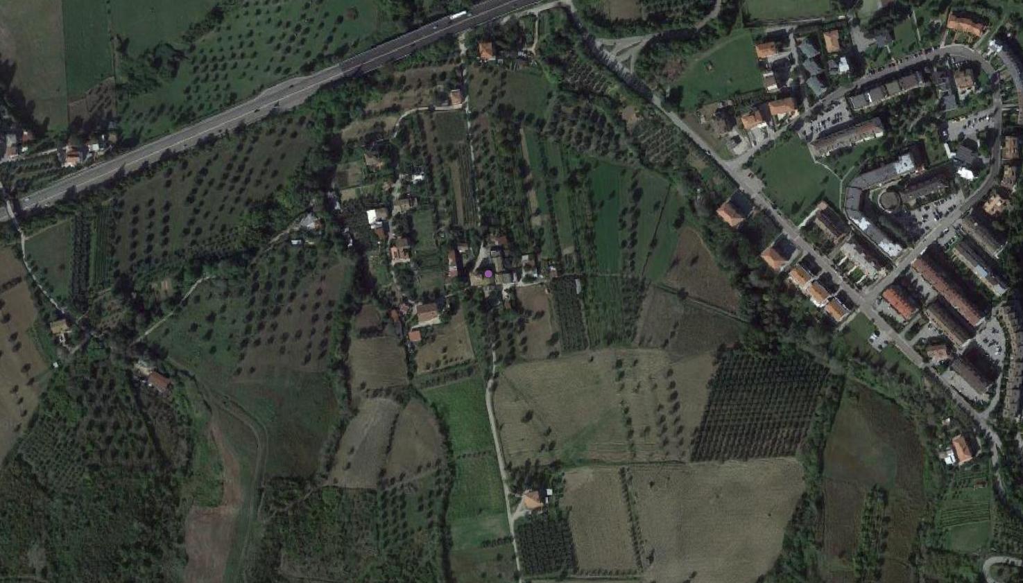 ritrovamento sporadico, vasche