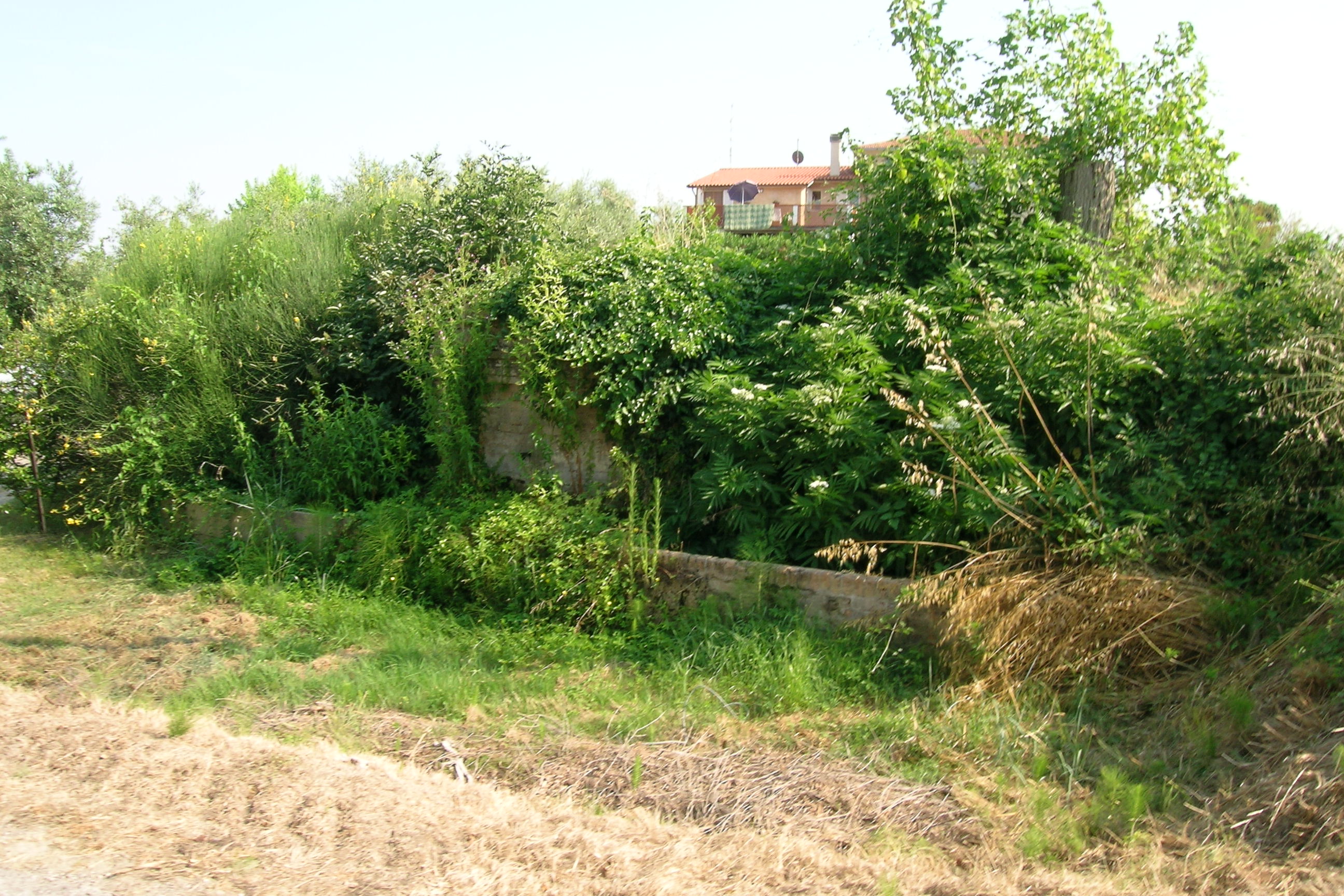 Fonte Nuova
