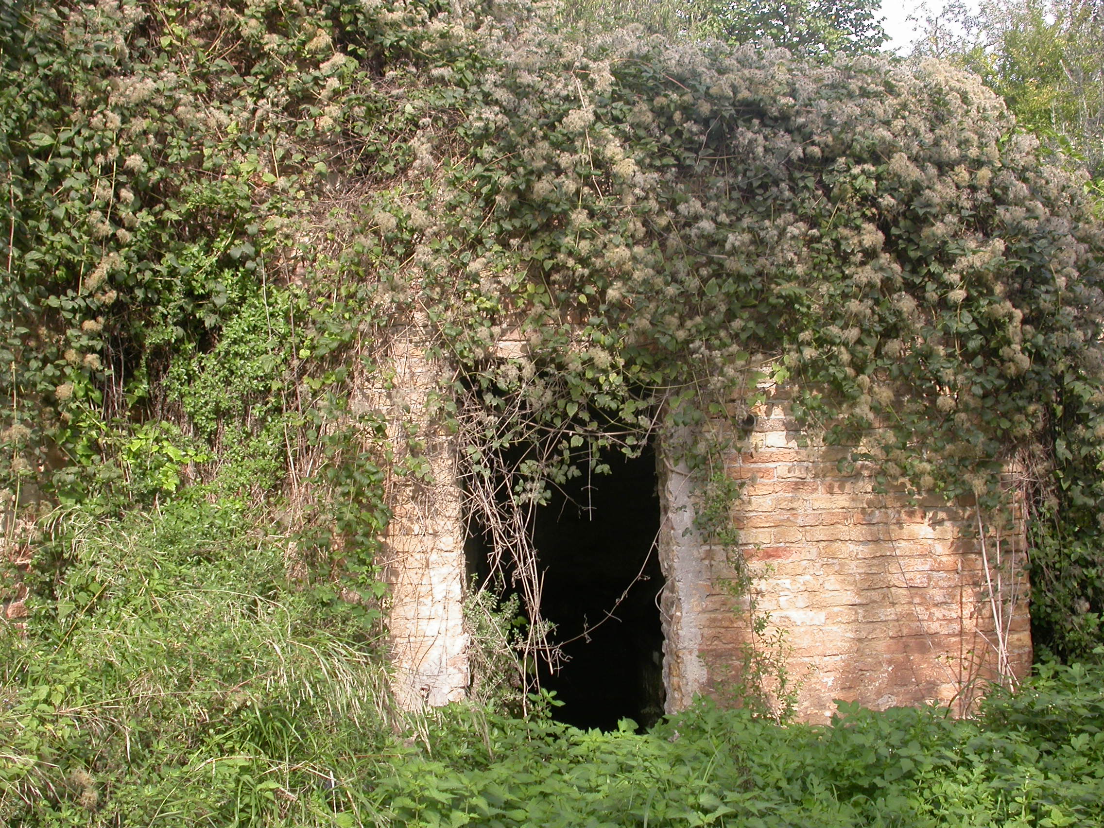 Lavatoio