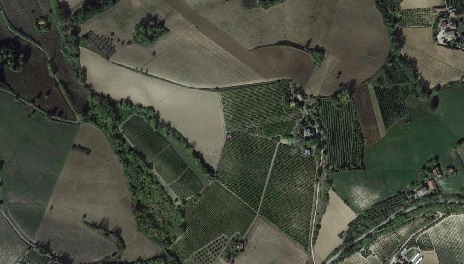ritrovamento sporadico, frammenti fittili