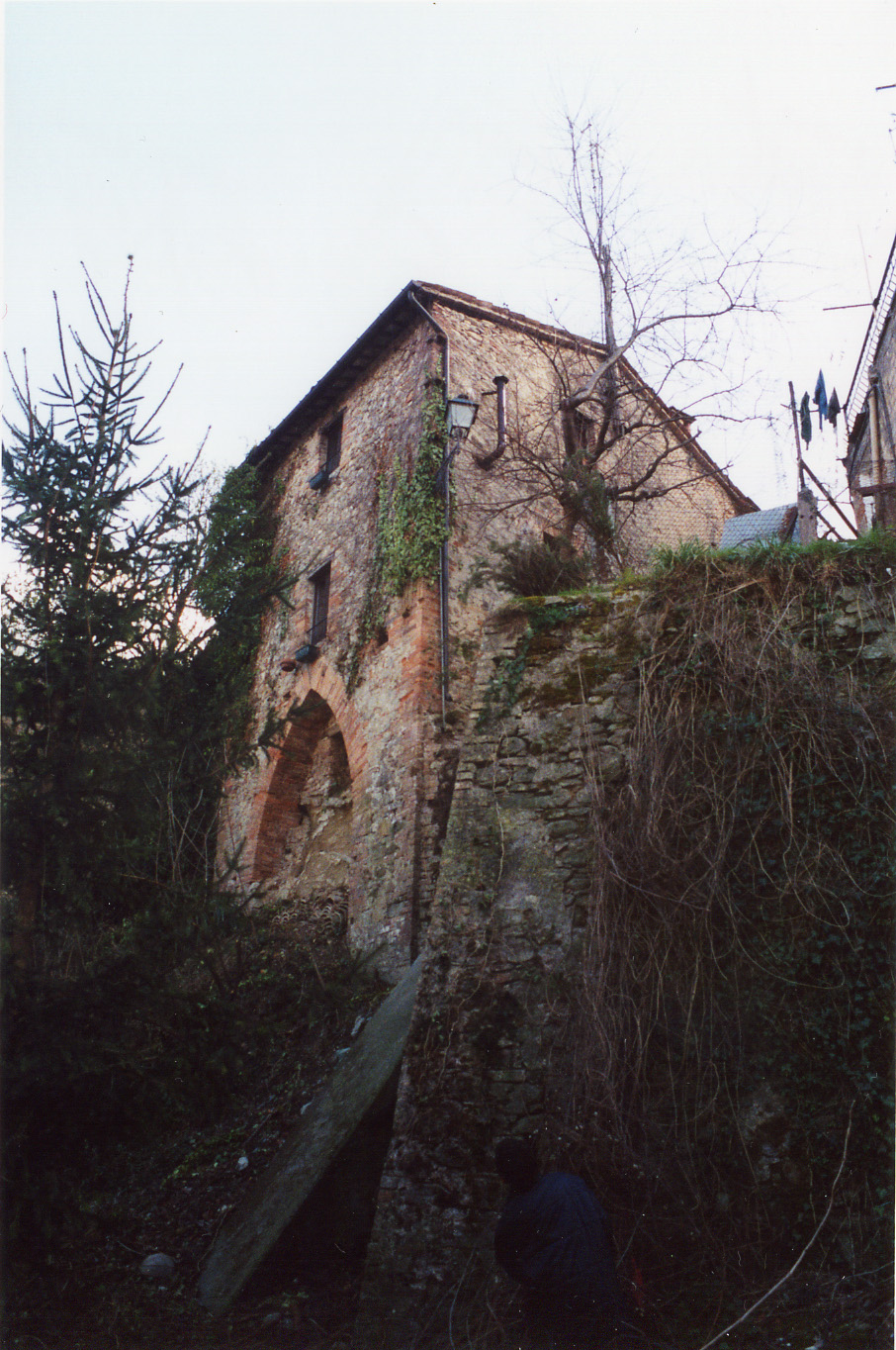 Mulino