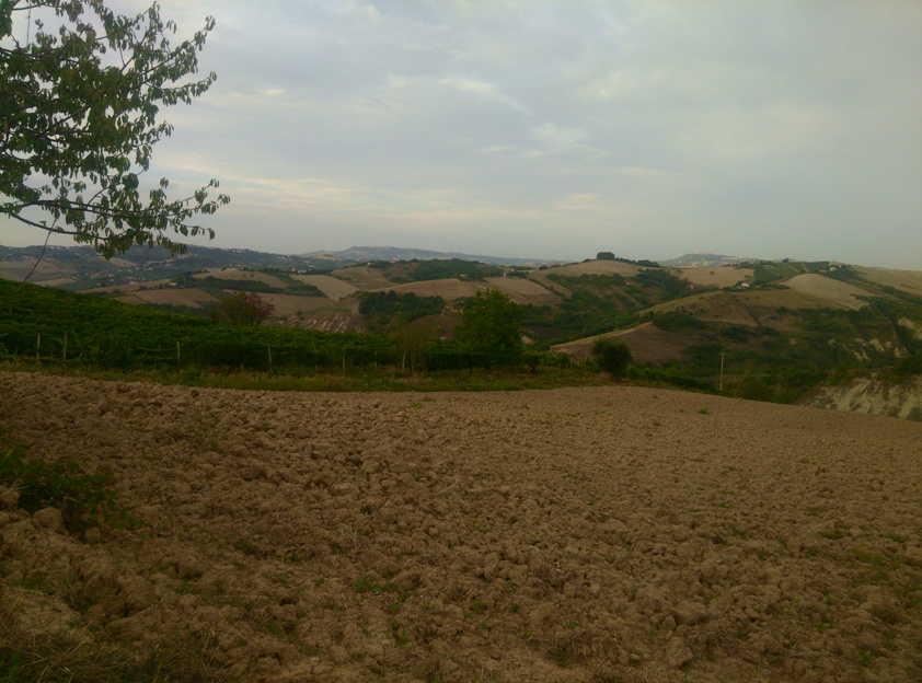 area ad uso funerario, necropoli