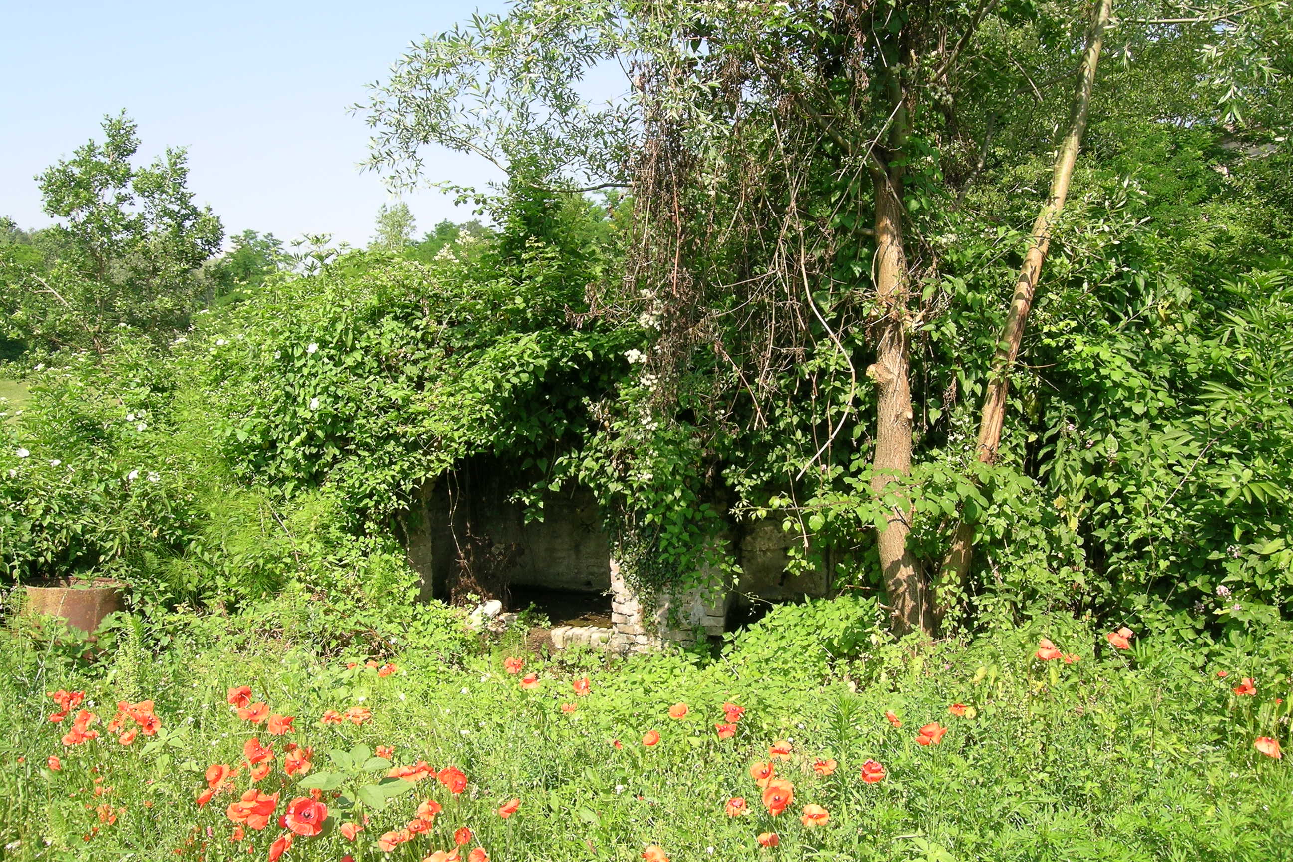 Fonte Castelnuovo Basso