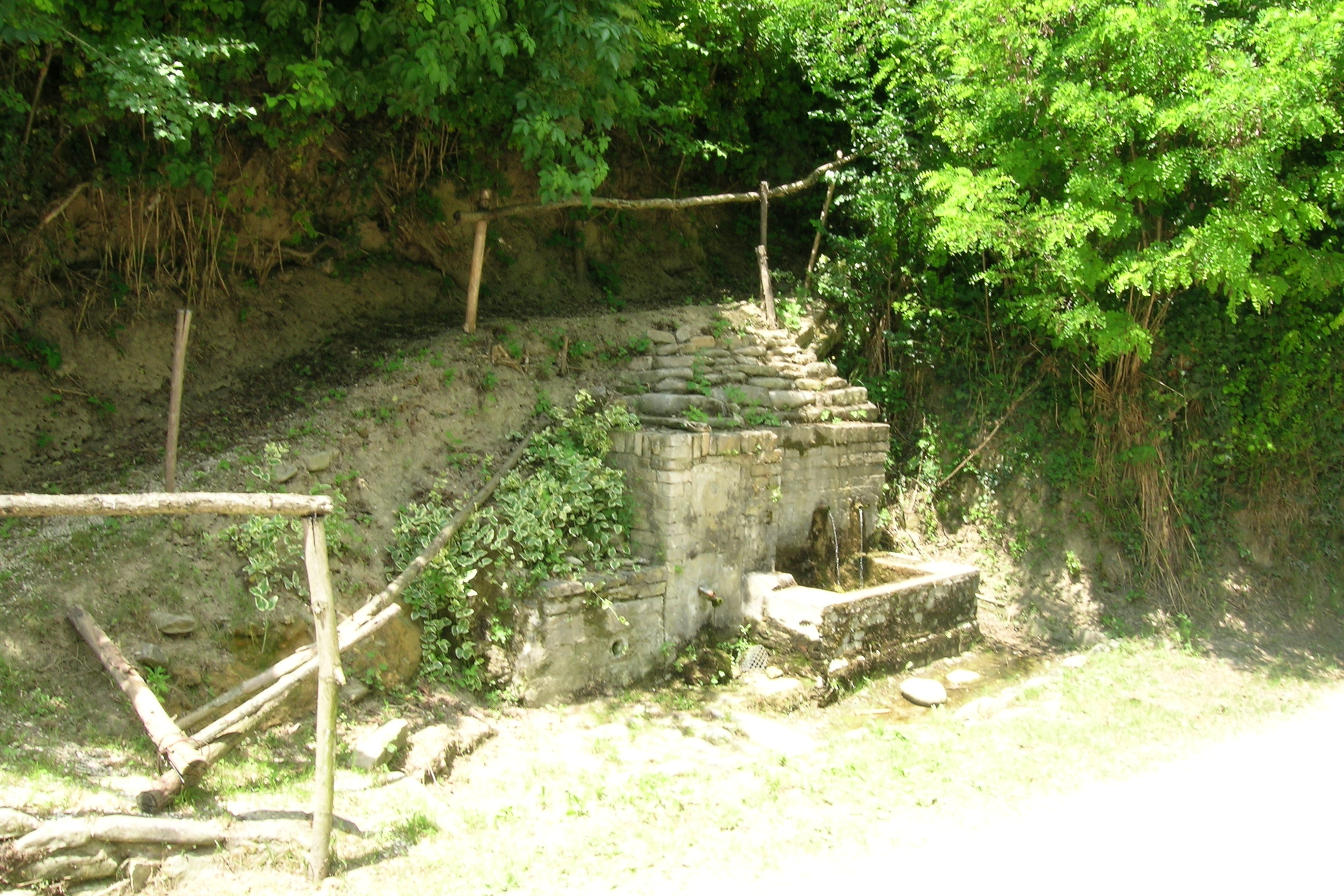Fonte Gesetti