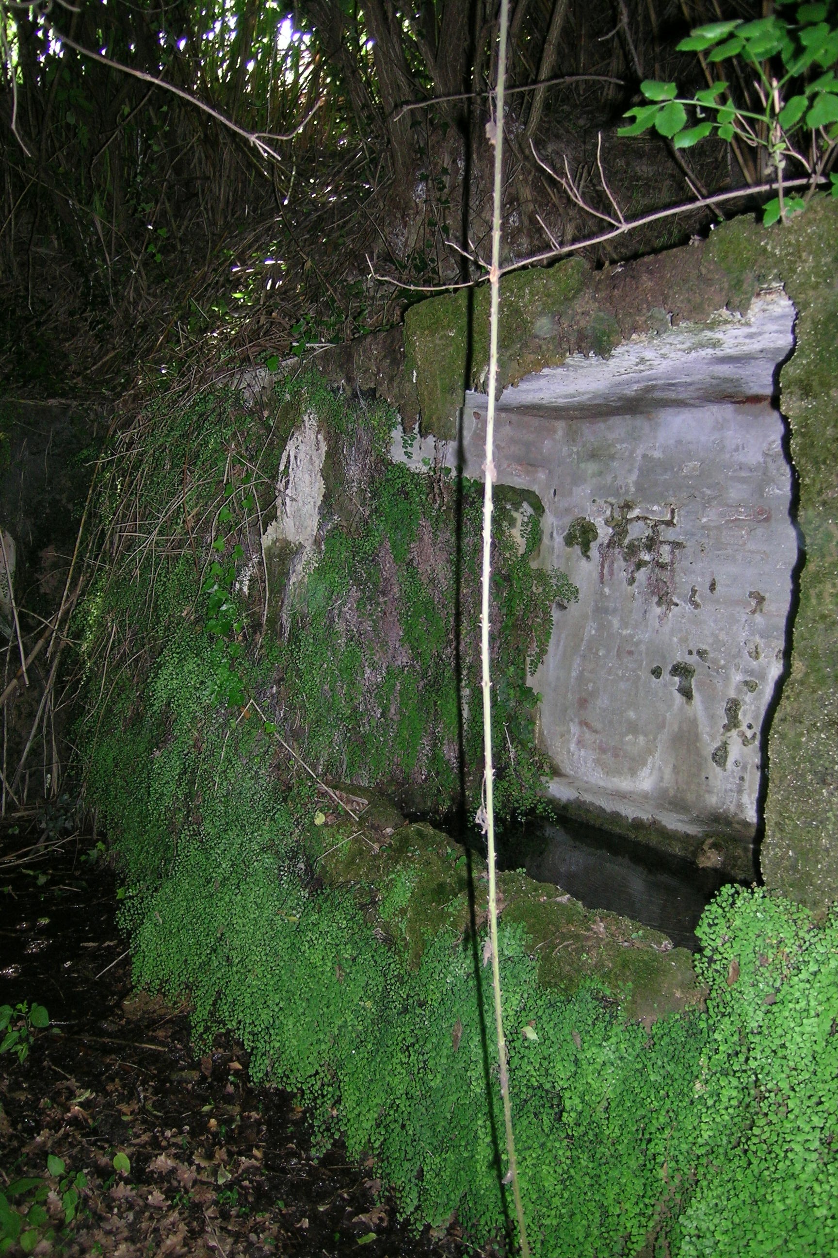 Fonte Sambuceto