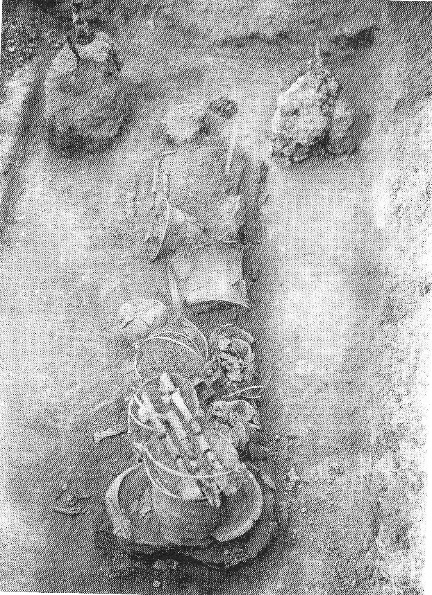 area ad uso funerario, necropoli
