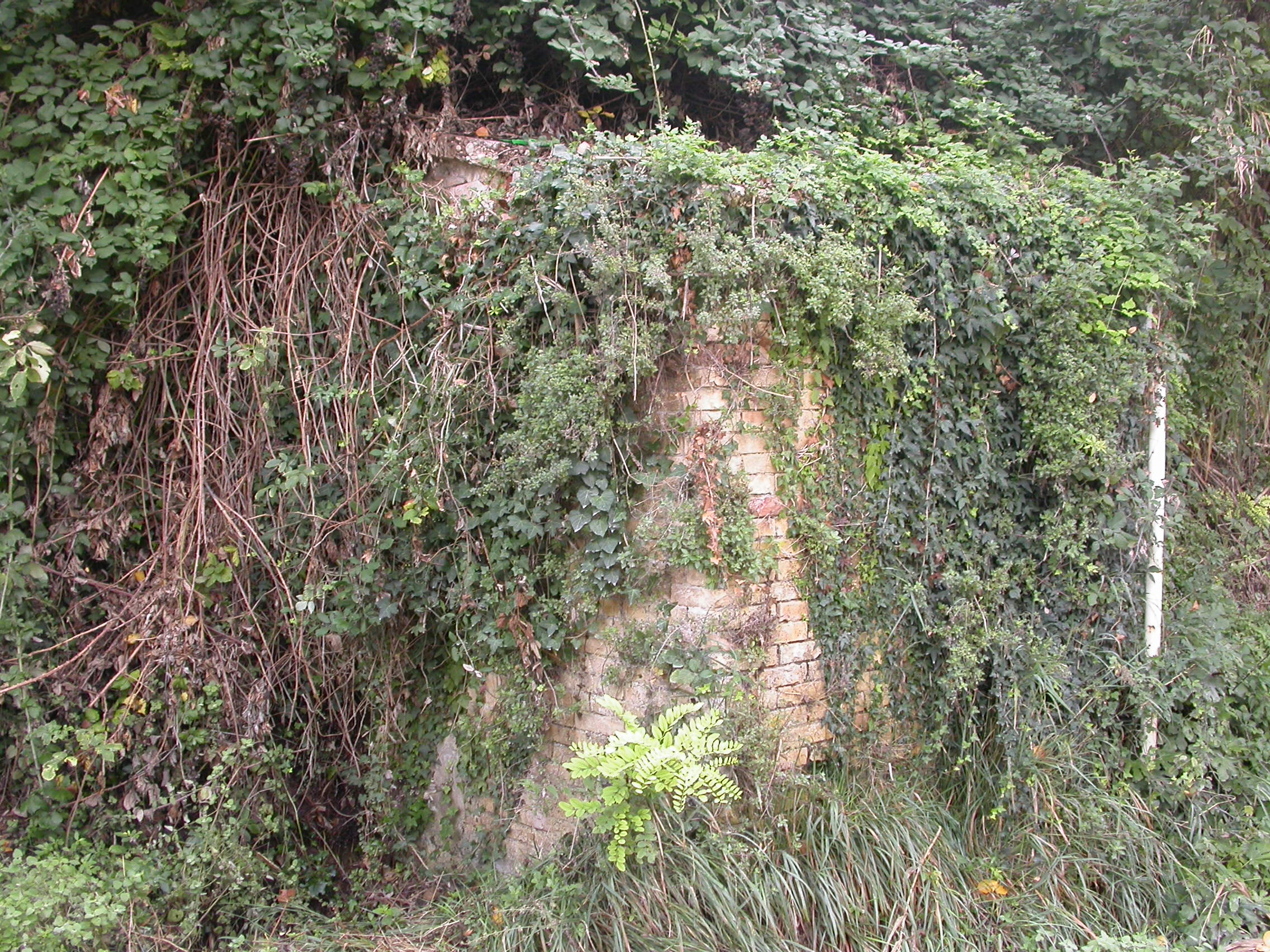 Fonte Vecchia