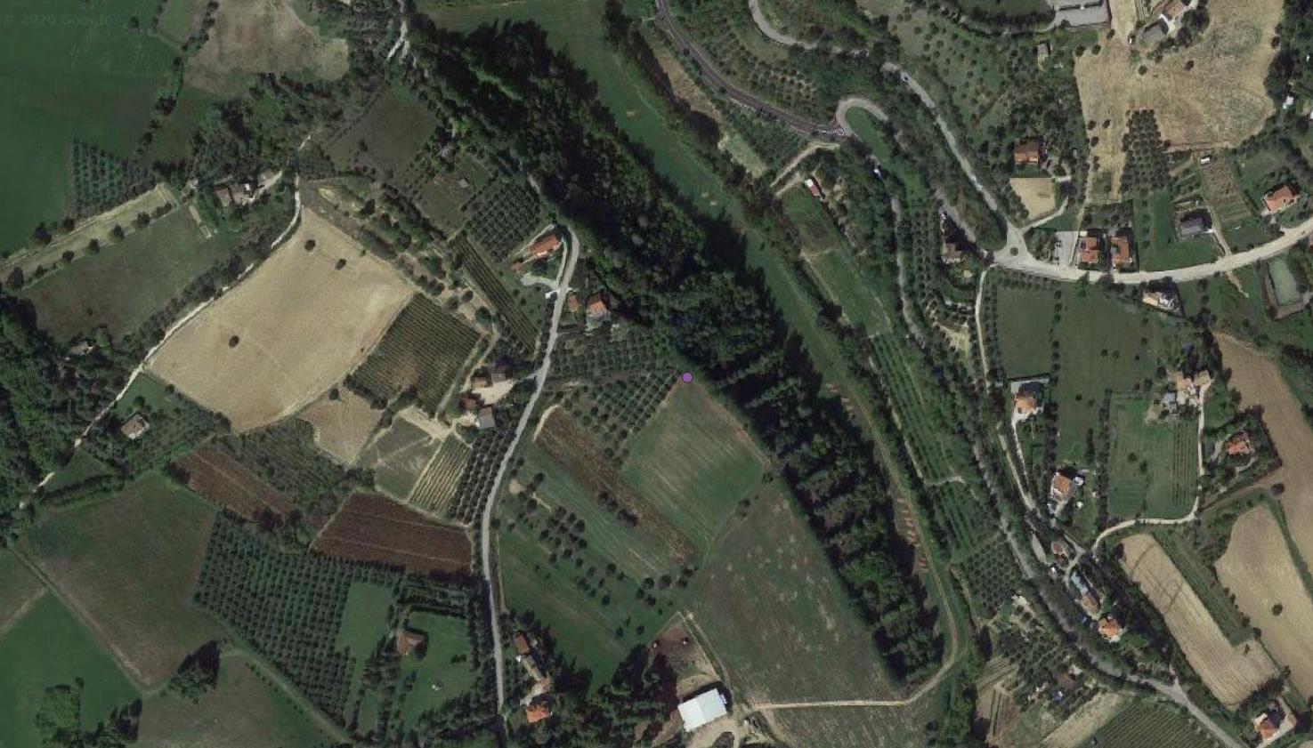ritrovamento sporadico, instrumentum domesticum