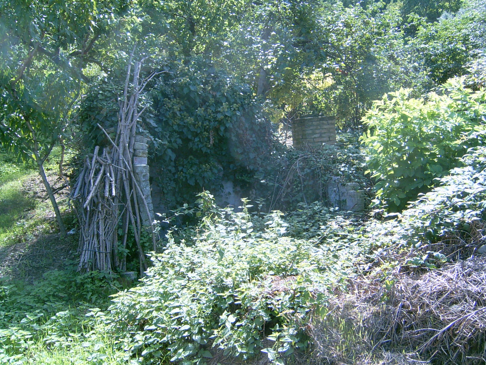 Fonte Rivo