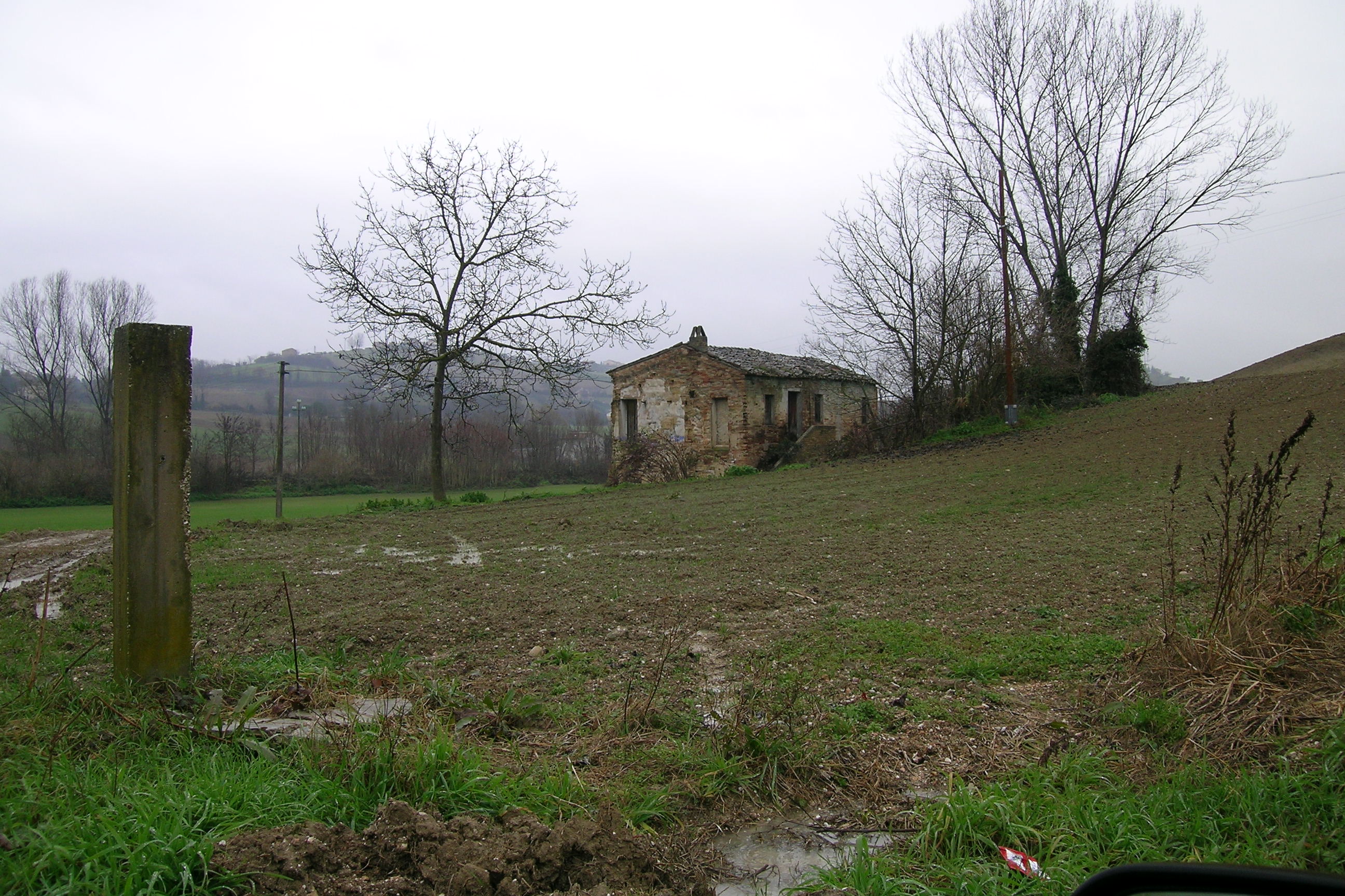 Mulino
