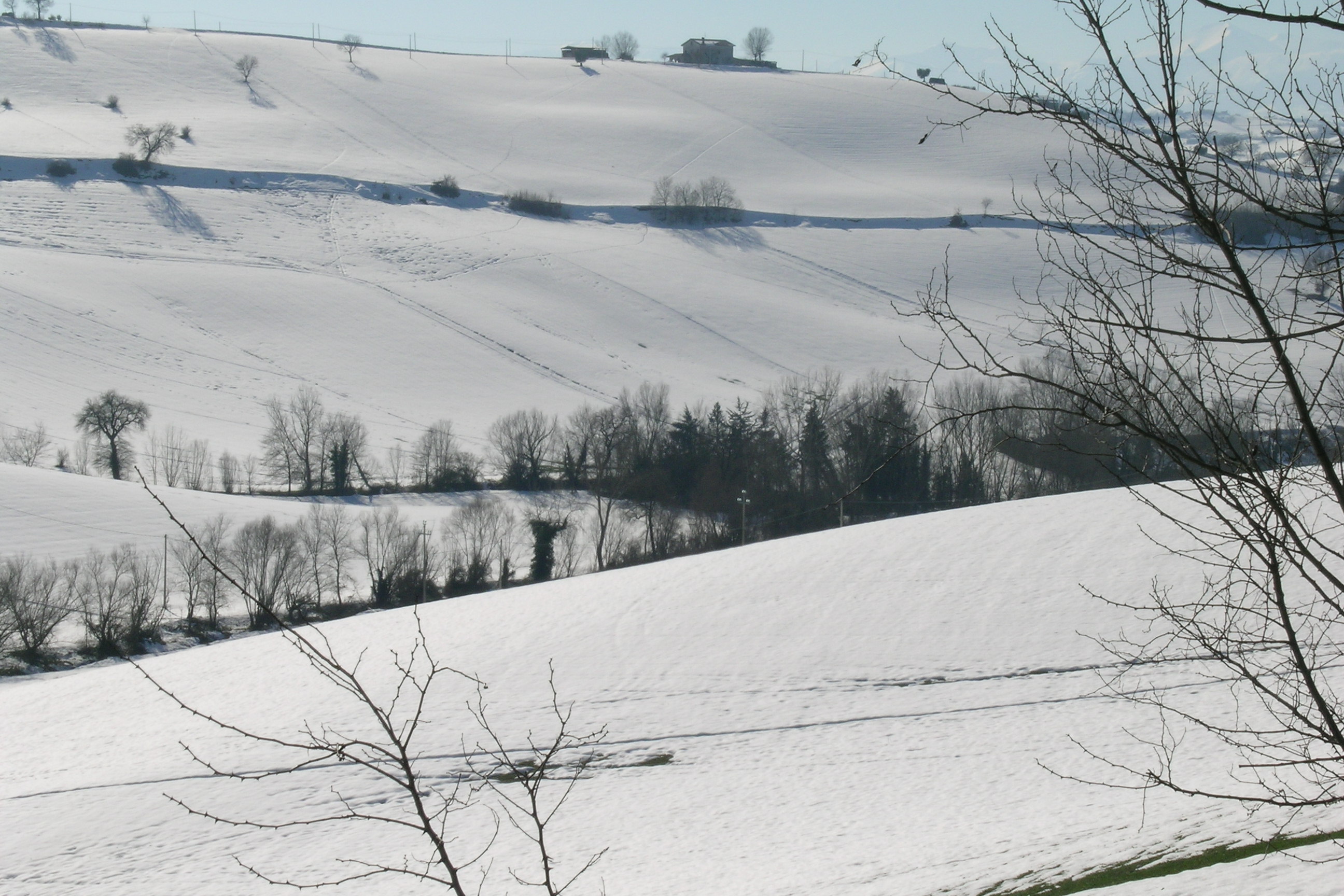 Fonte Miciangelo