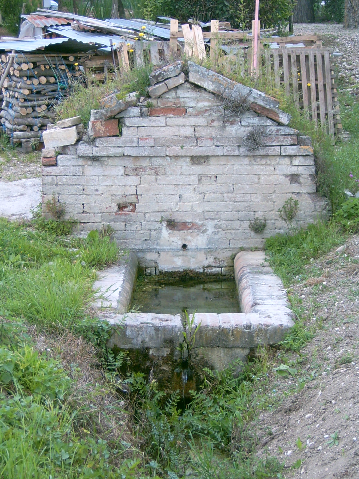 Fonte Murata