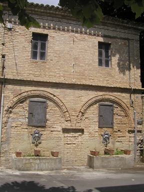 Fontanelle
