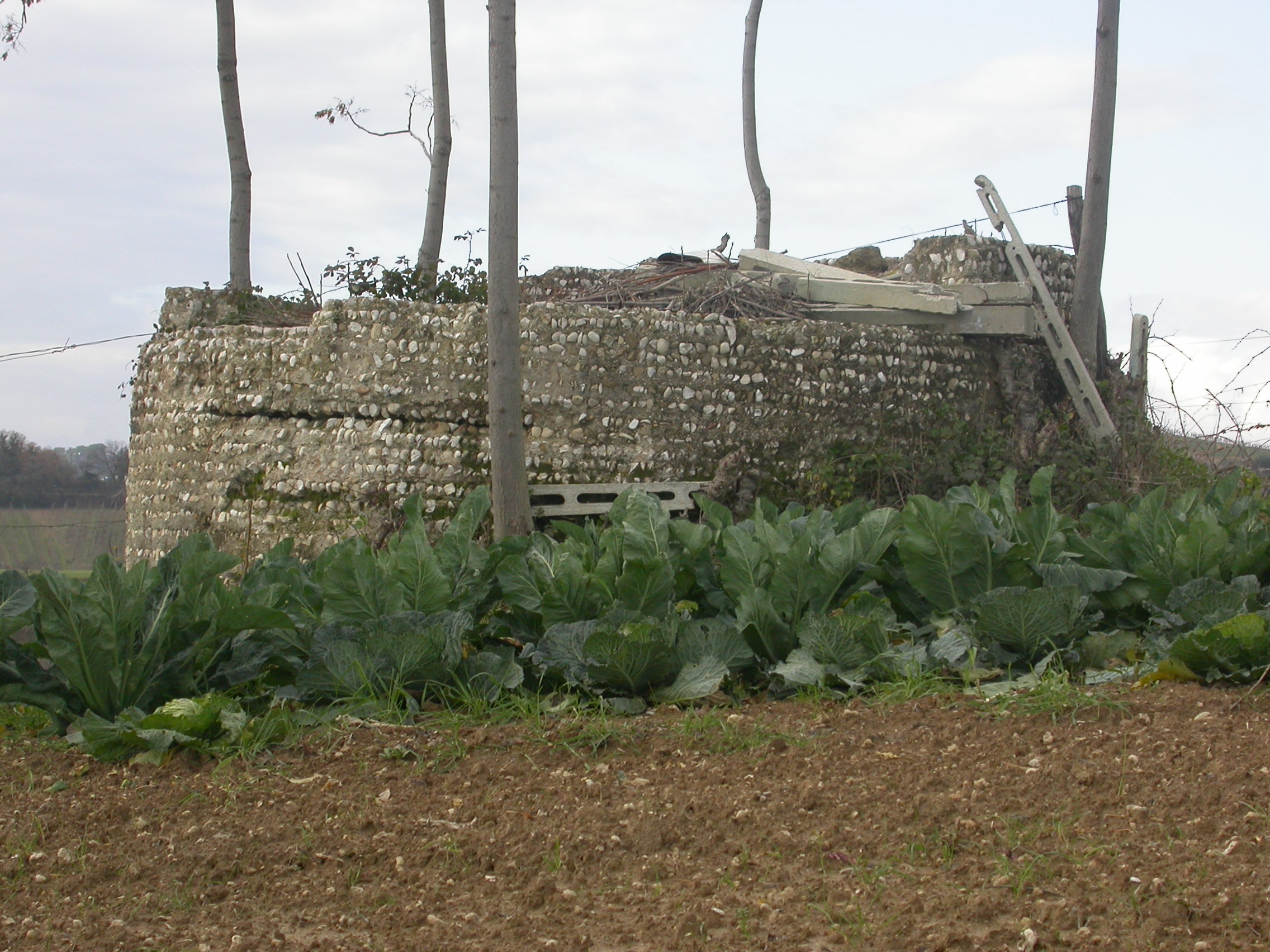 Antica vasca