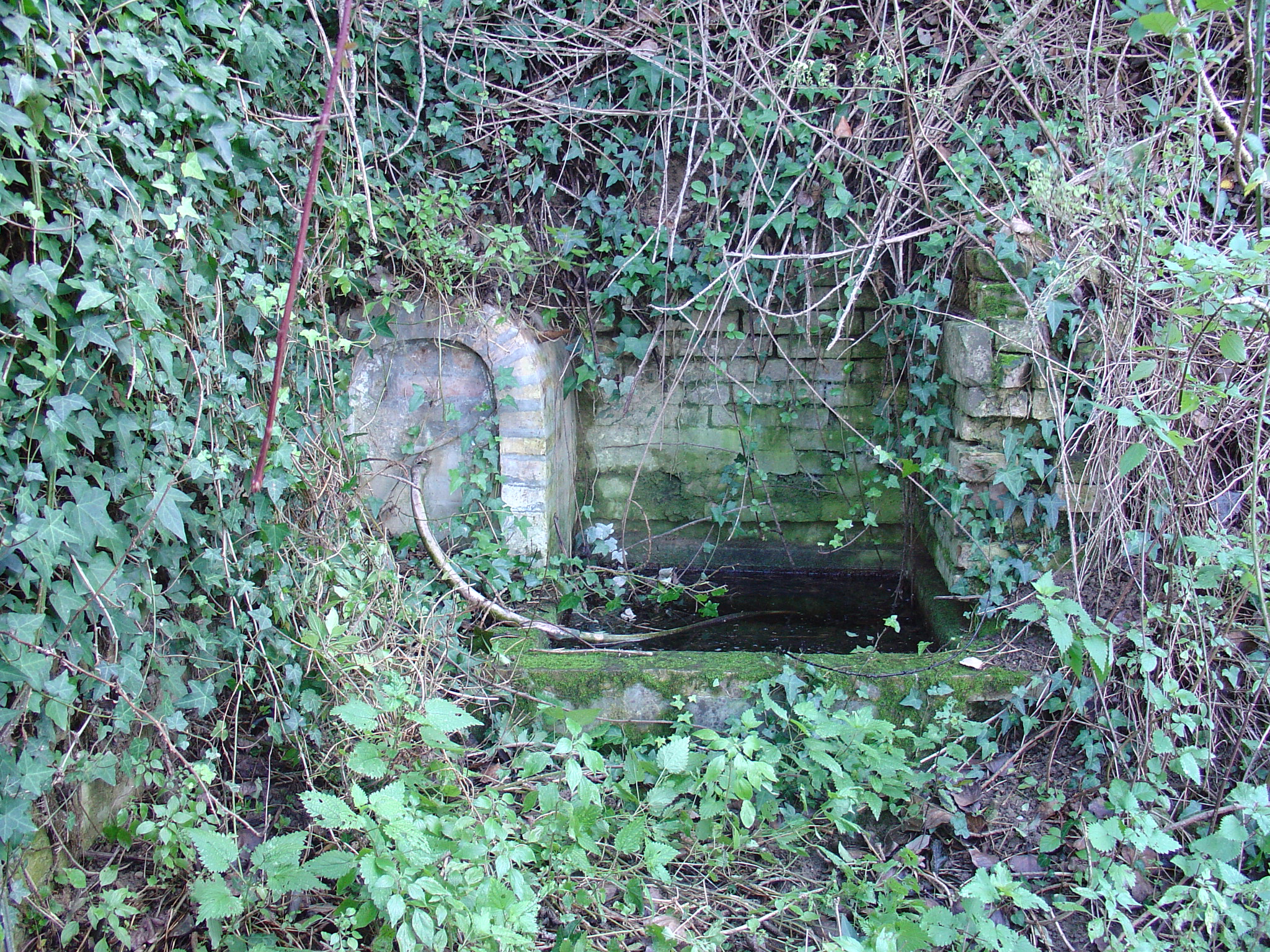 Fonte di Moregnano