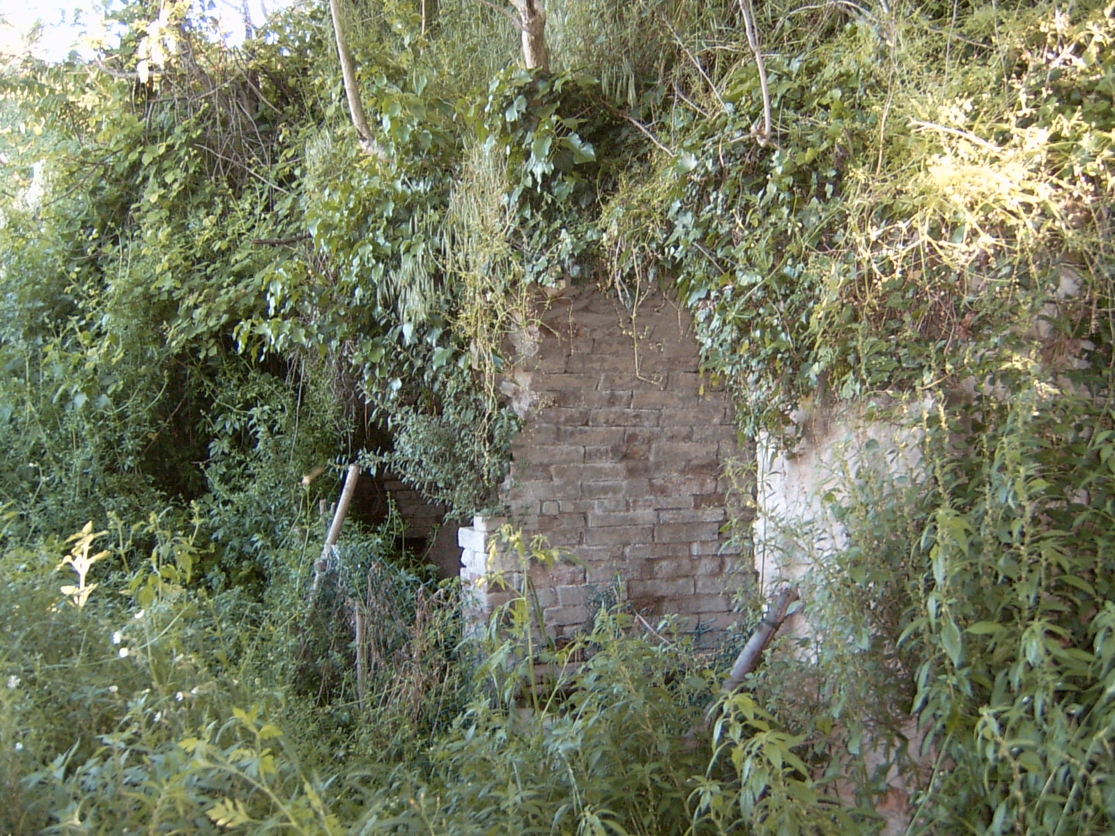Fonte Ripa