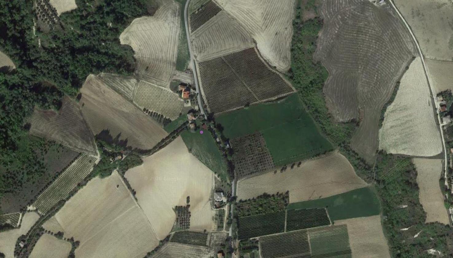 ritrovamento sporadico, arma