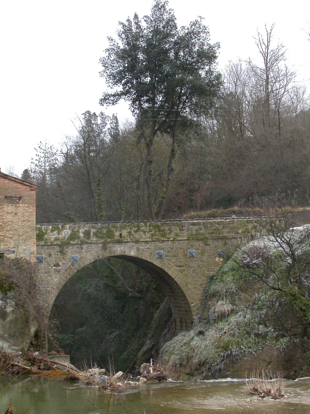 Ponte