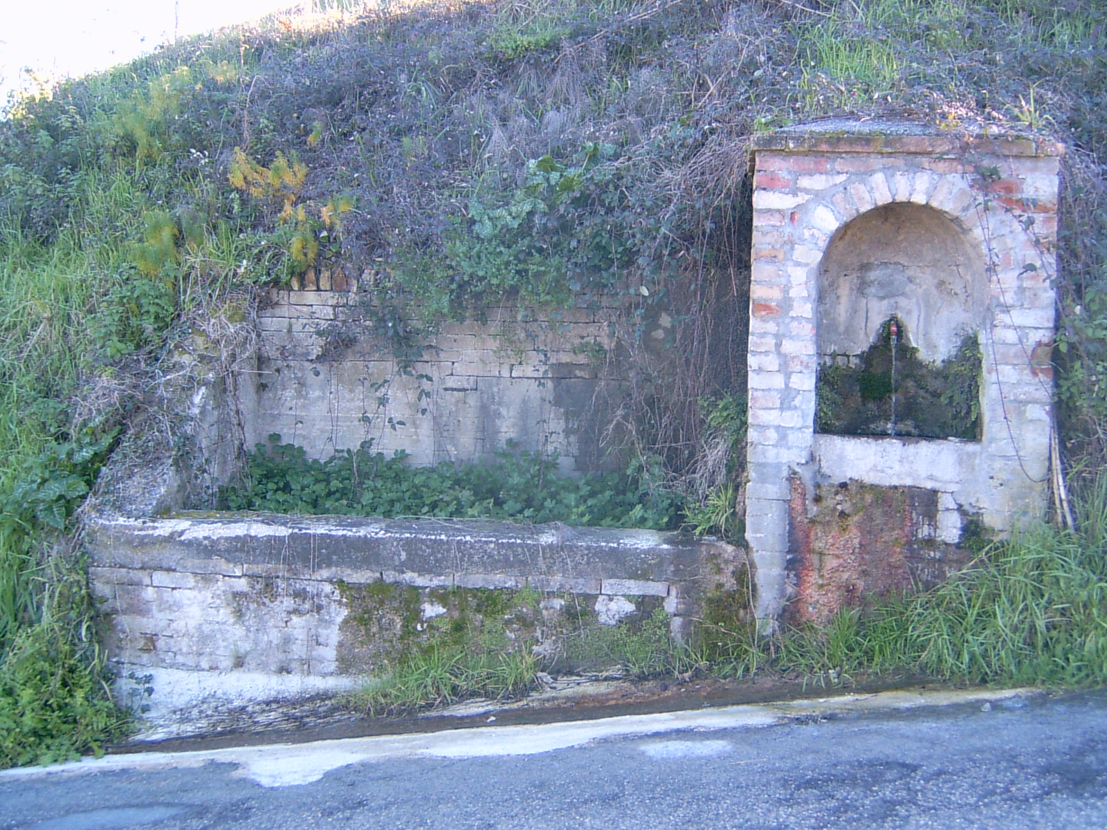 Fonte dei Cavalli