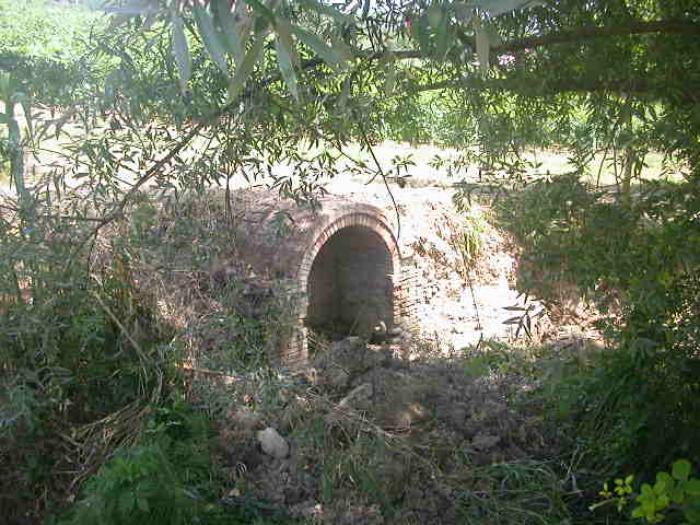 Fonte