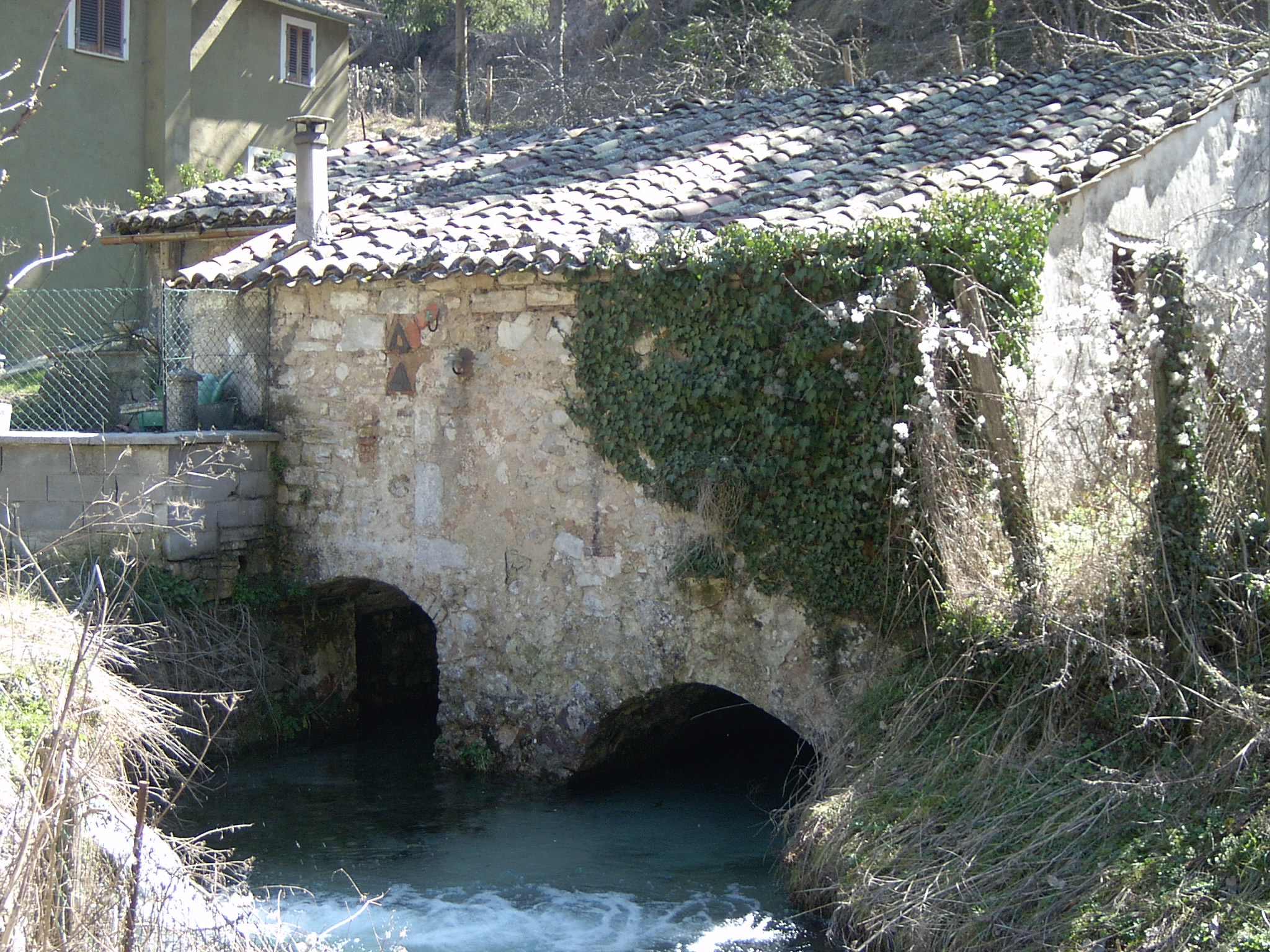 Molino