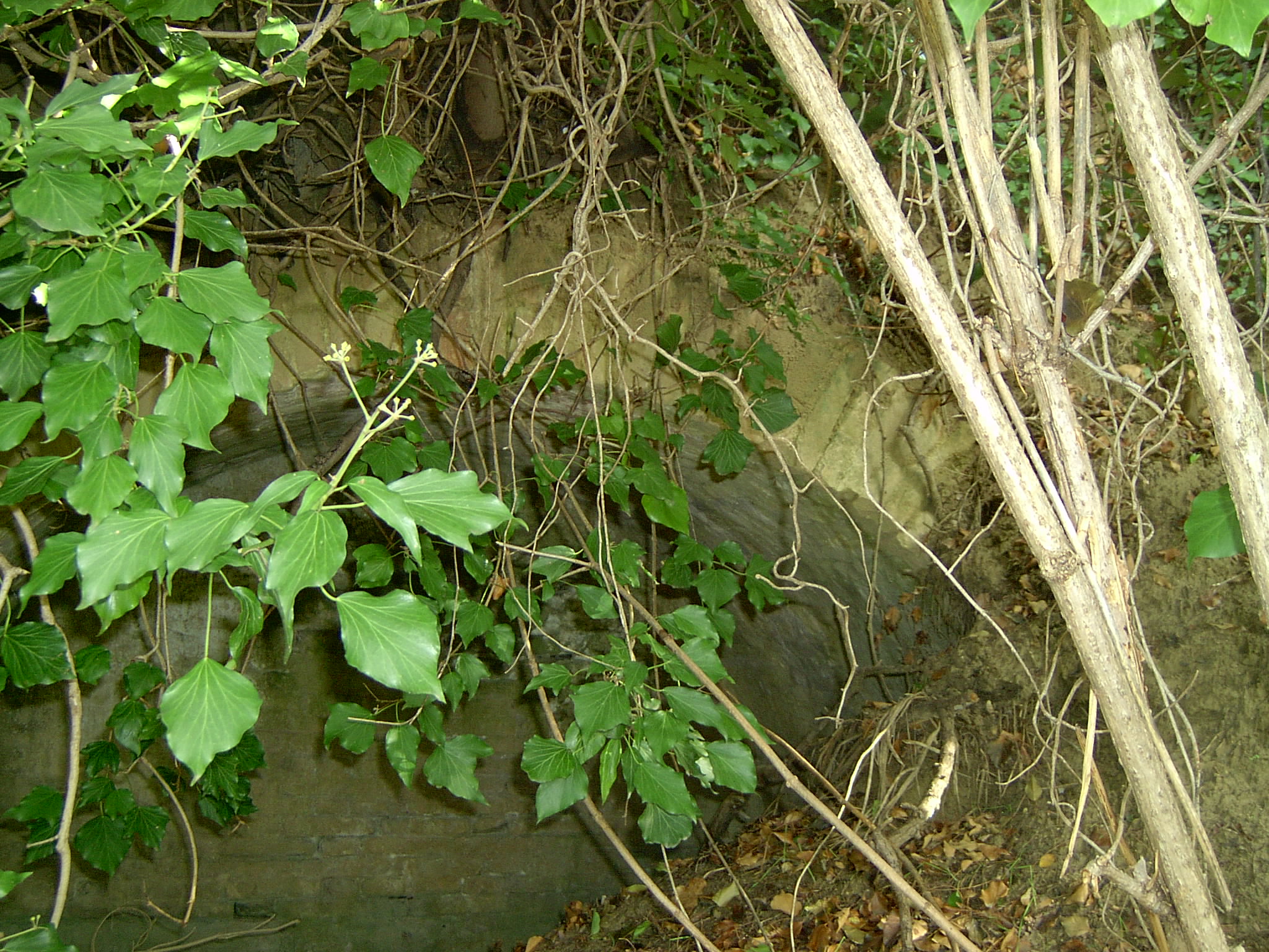 Fonte Pietrara