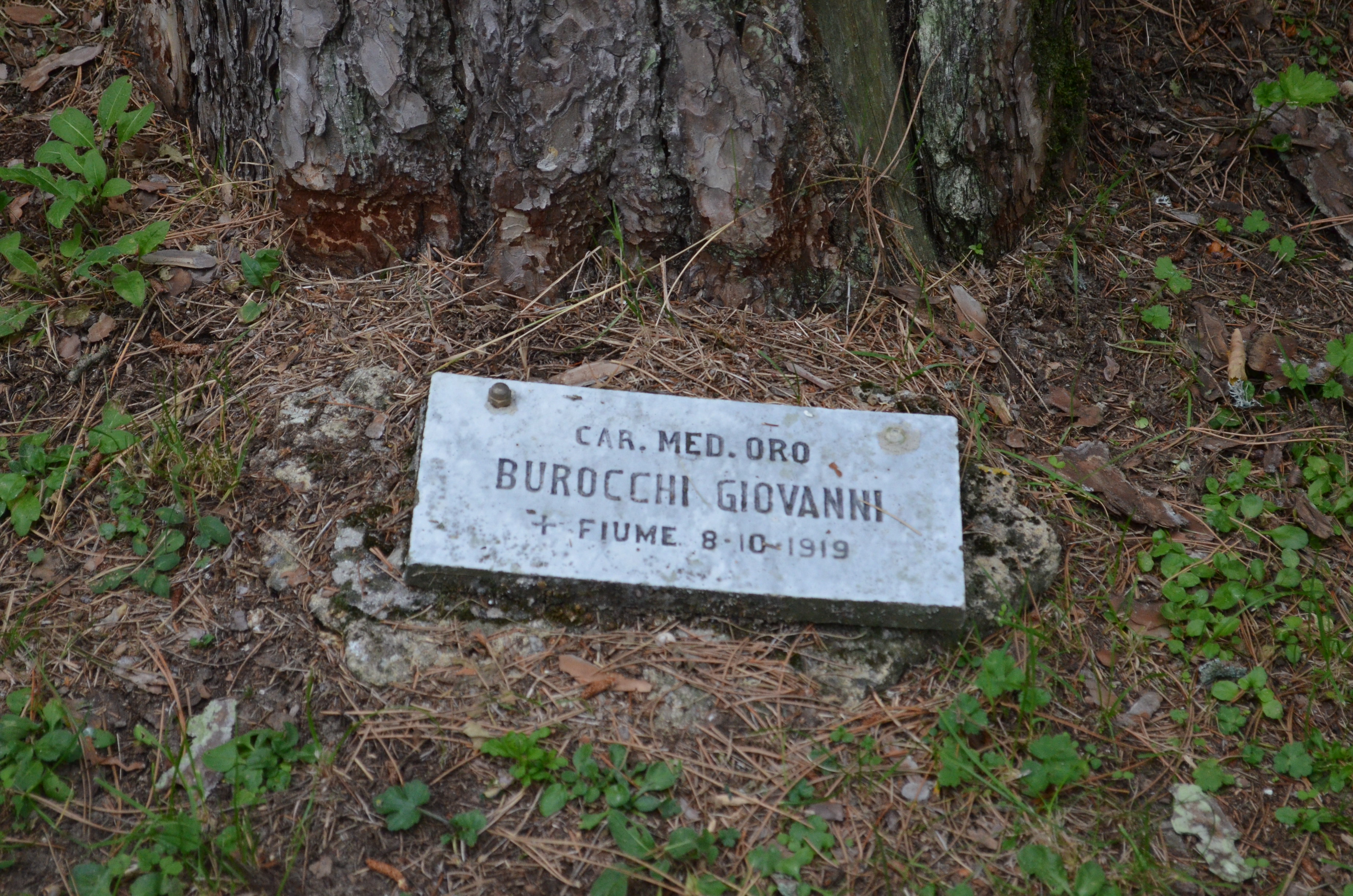 parco della rimembranza di Penna San Giovanni