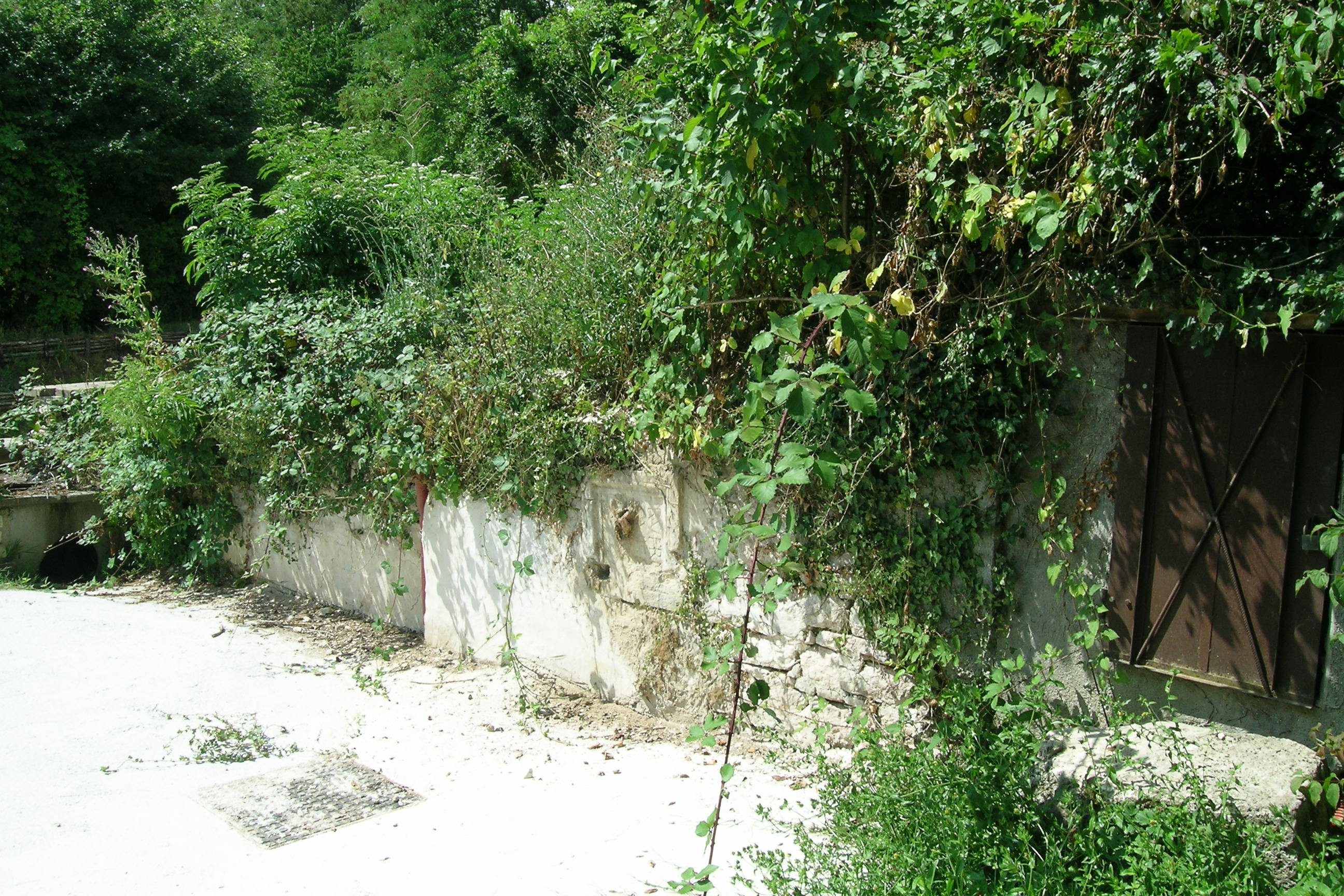 Fonte pubblica