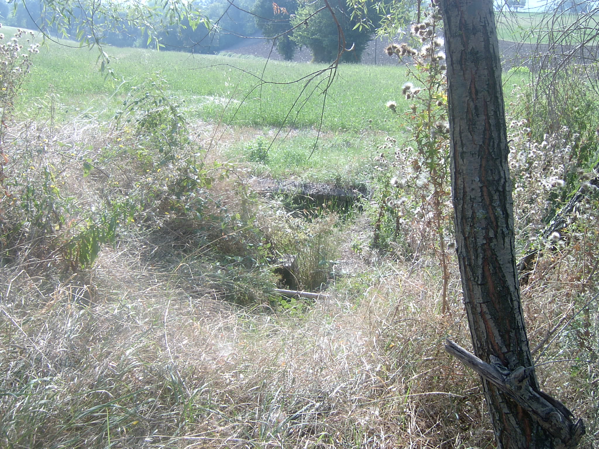 Fonte di S. Lucia