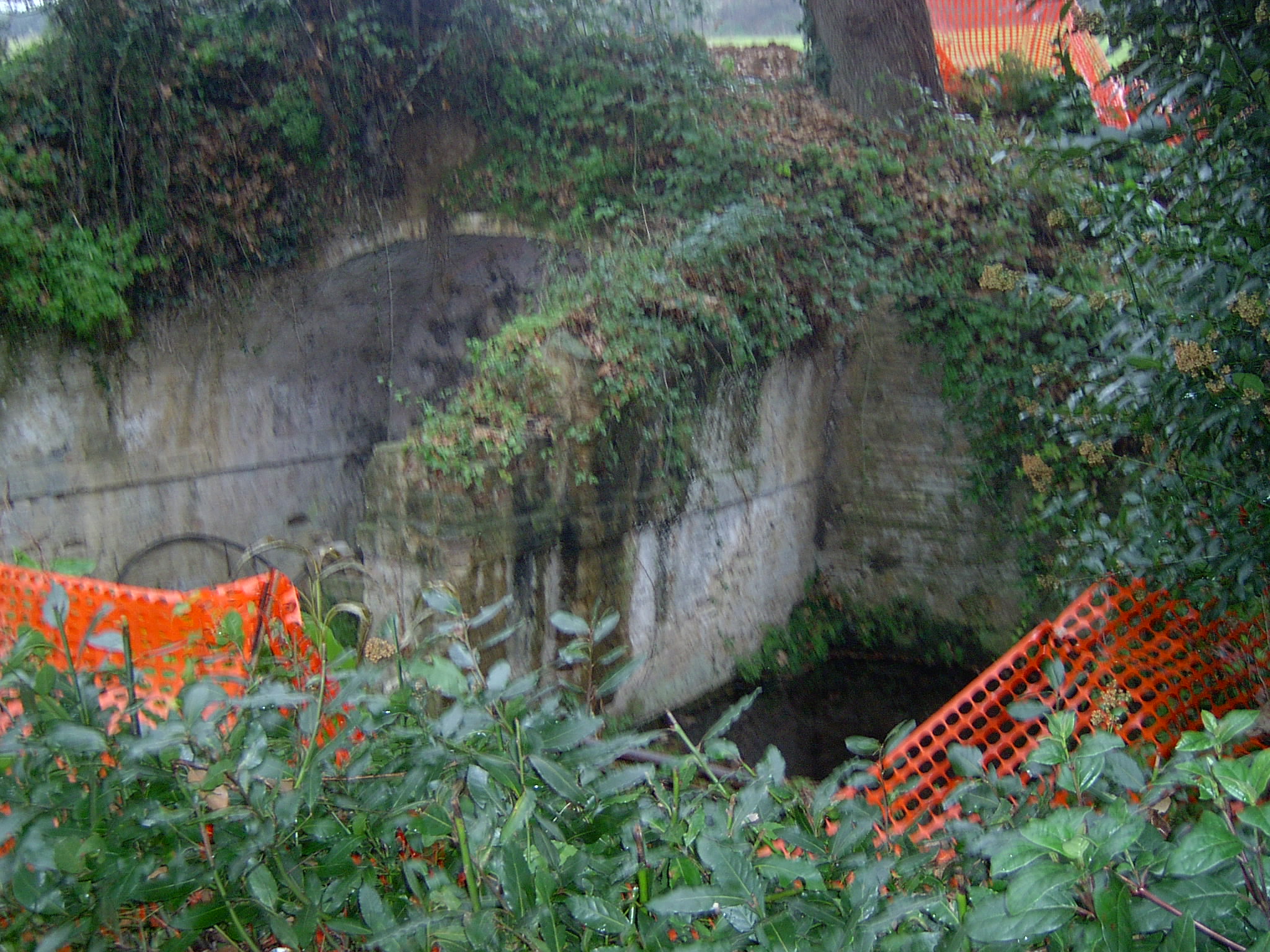 Fonte Carpineto