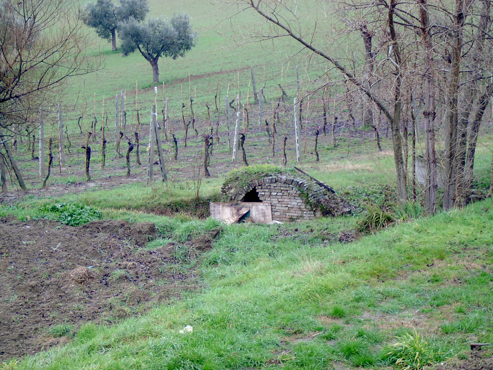 Fonte della Valle