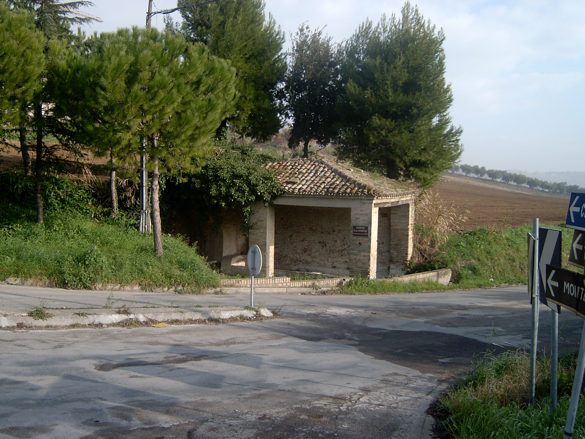 Fonte la Concia