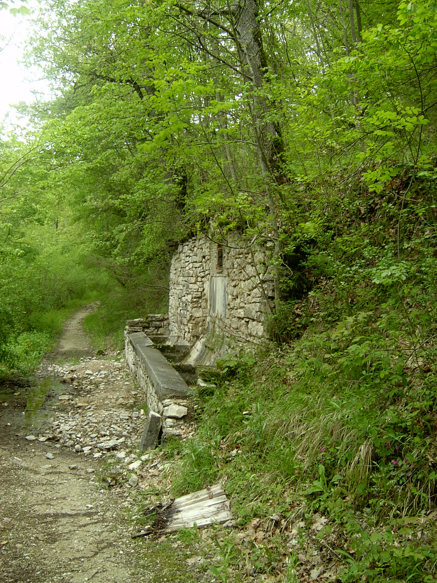 Fonte di Palazzo