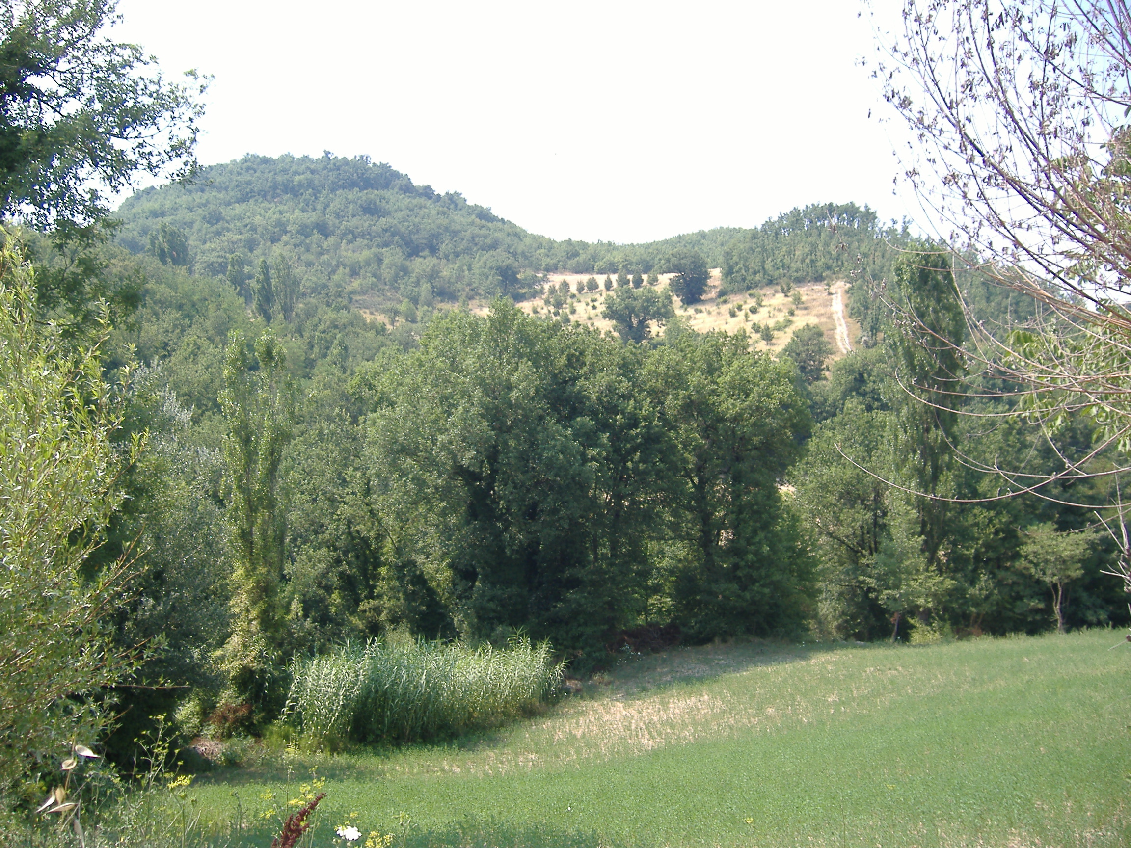 area ad uso funerario