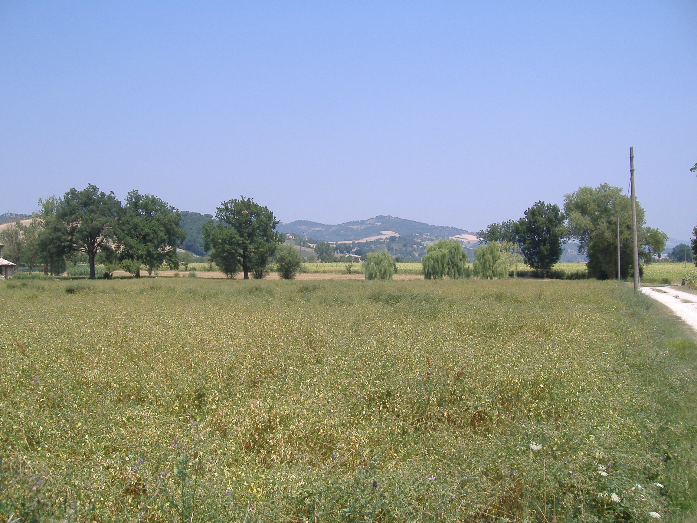 area ad uso funerario, necropoli